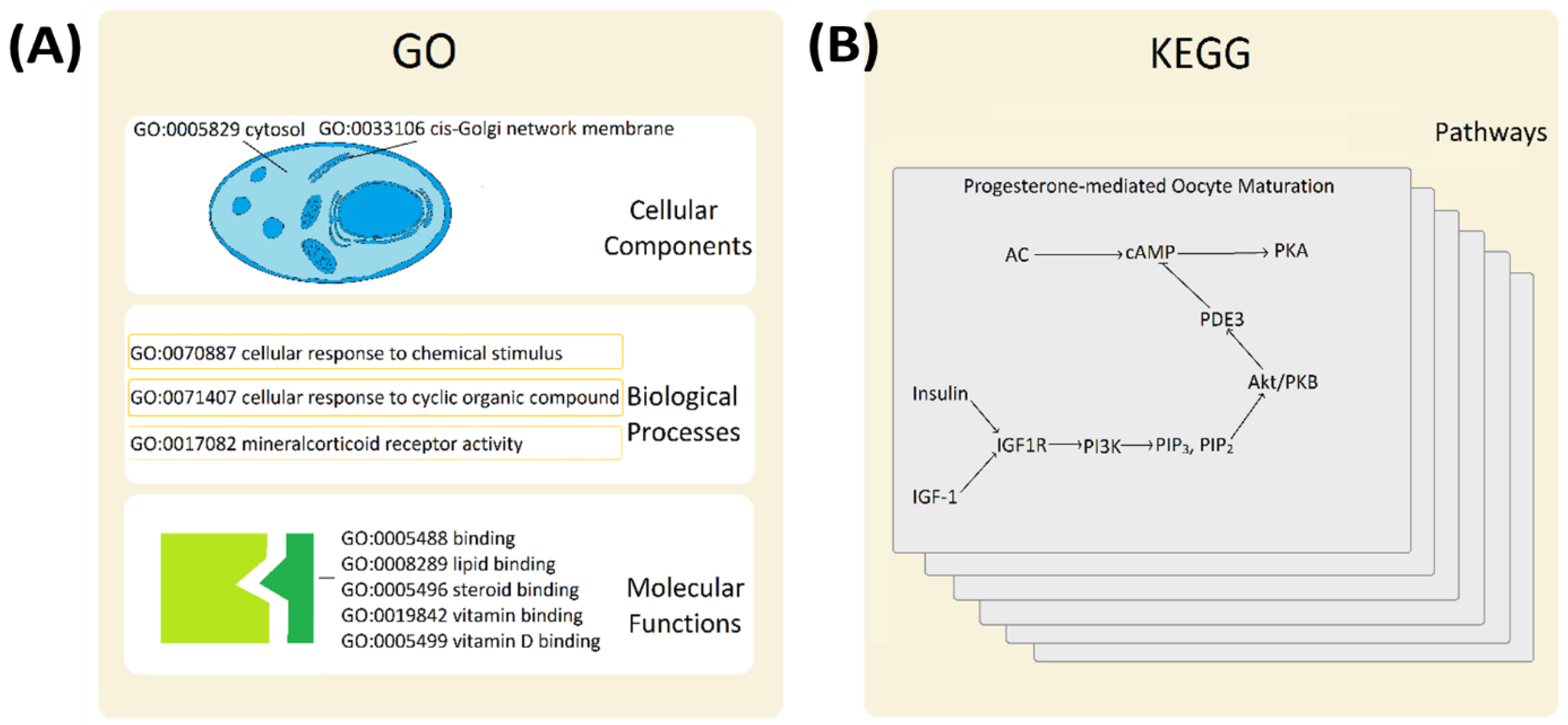 Genes 13 01538 g002 550