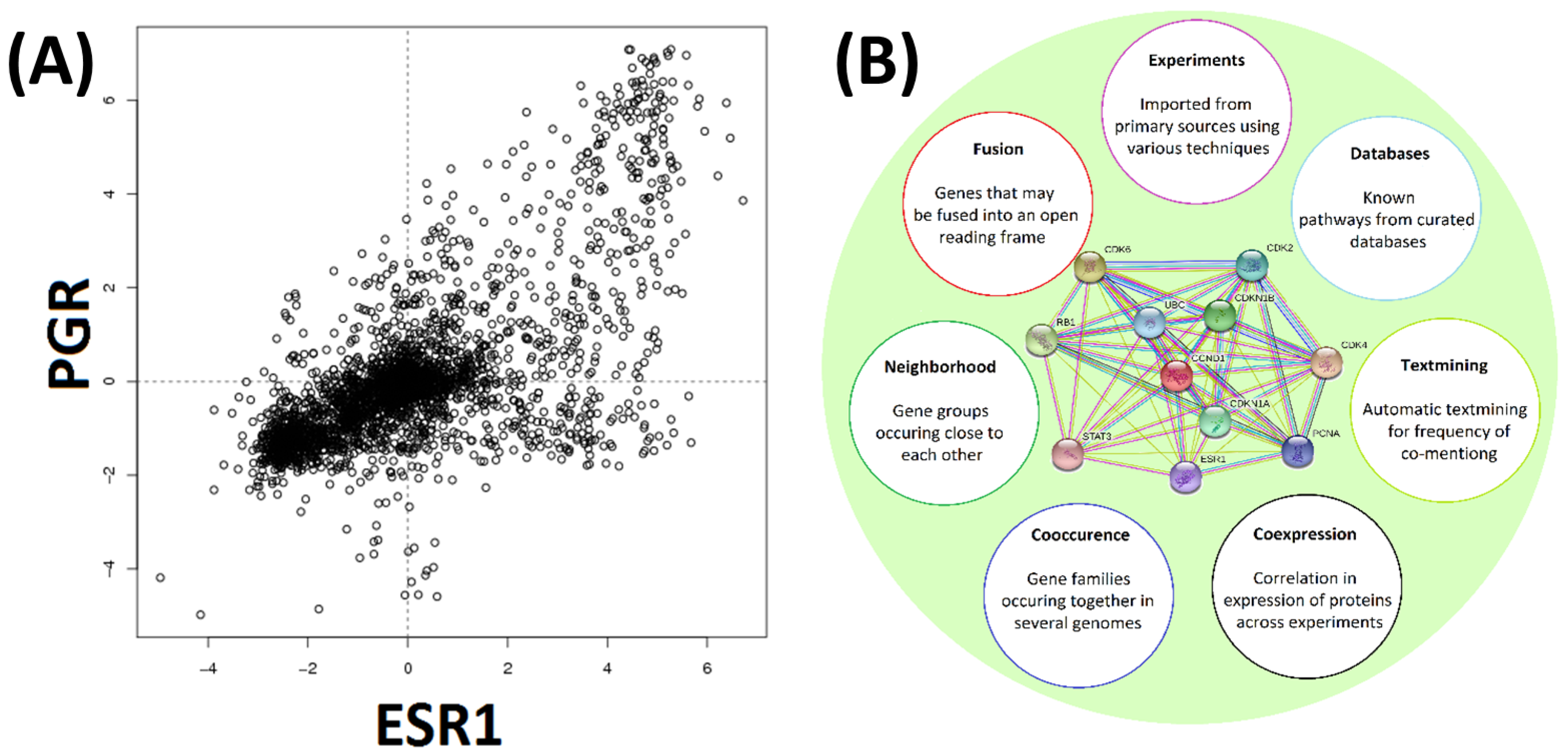 Genes 13 01538 g003 550