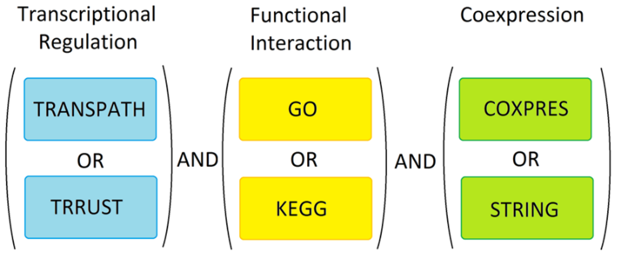 Genes 13 01538 g004 550