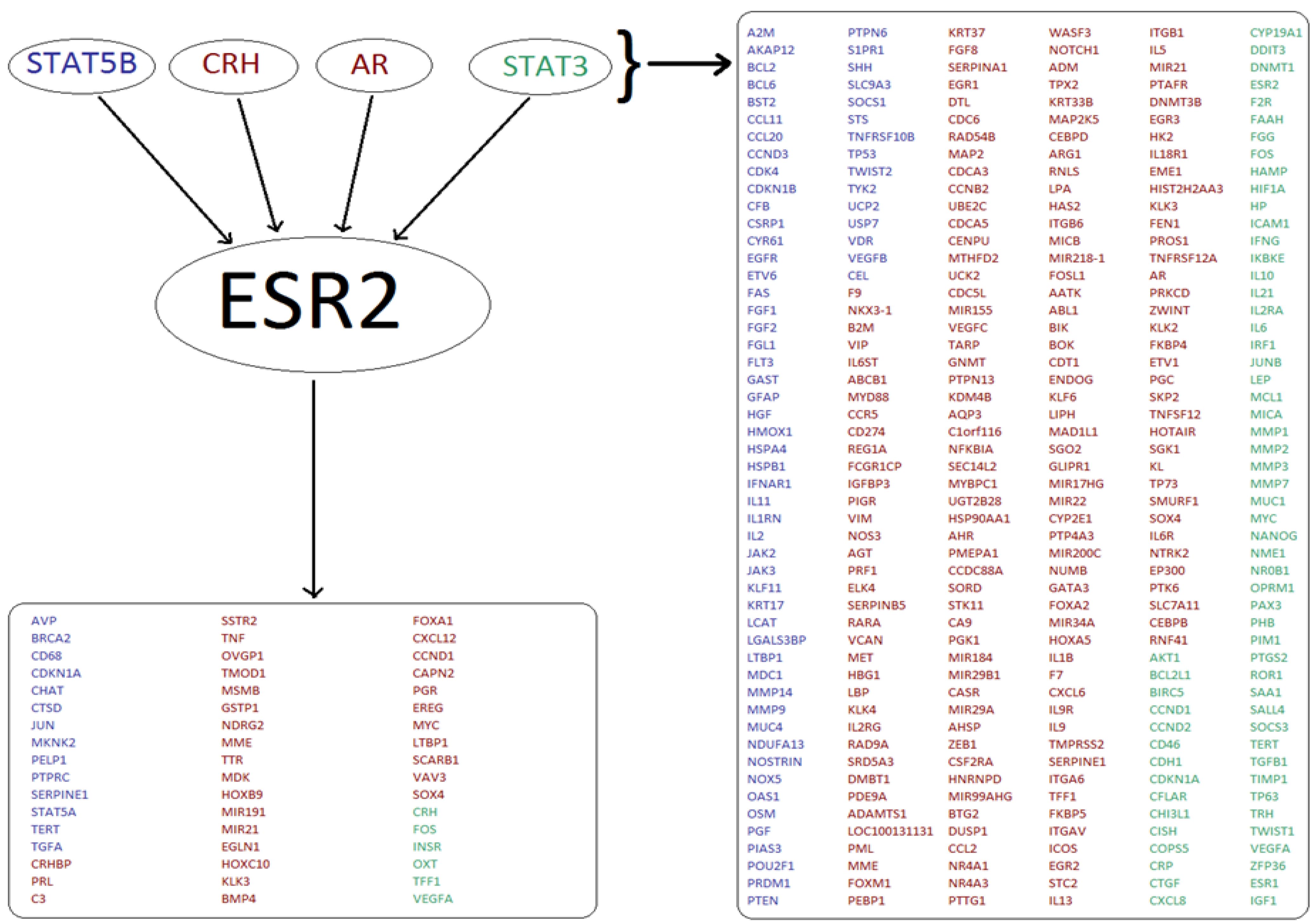 Genes 13 01538 g005 550