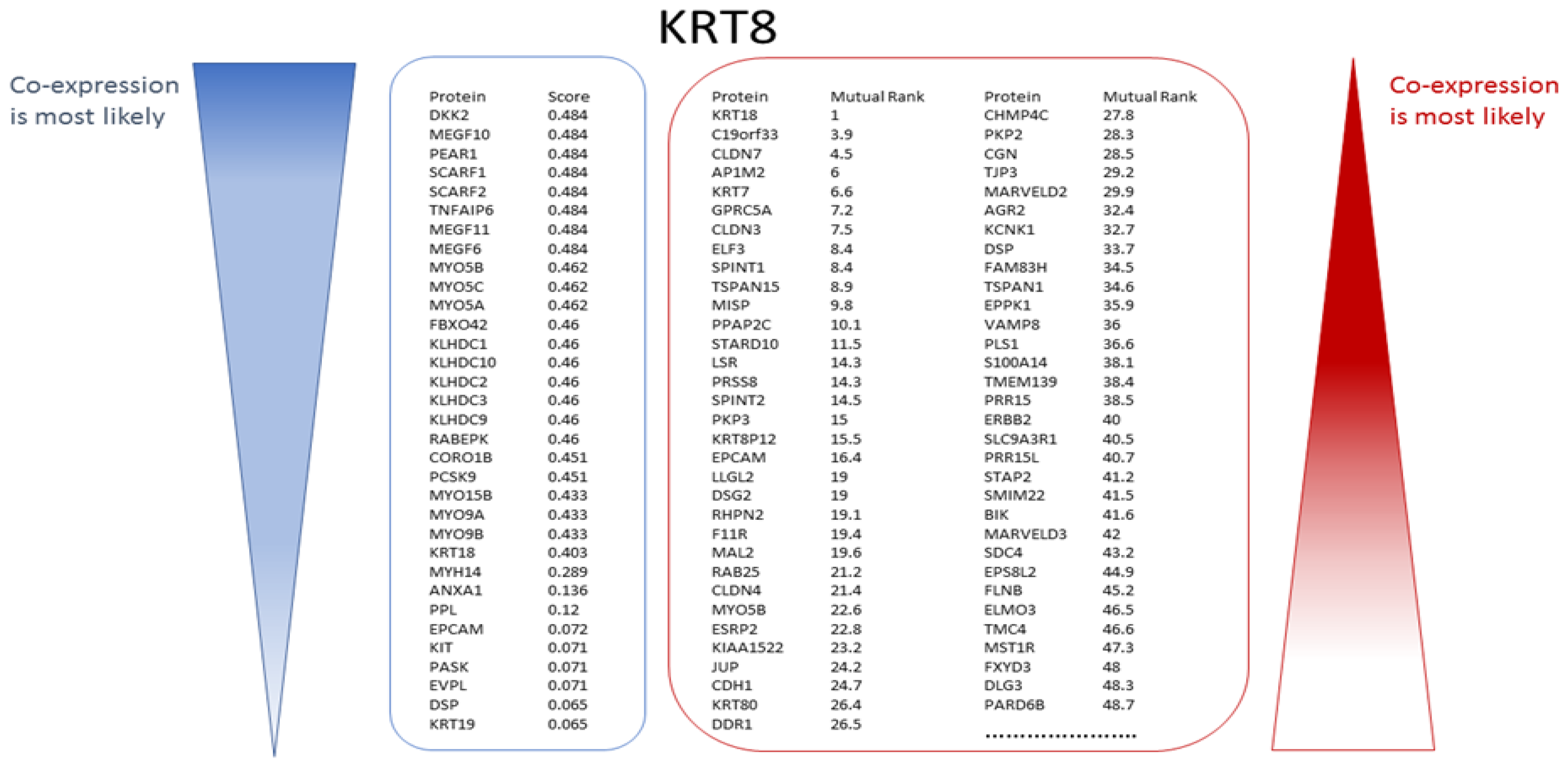 Genes 13 01538 g007 550