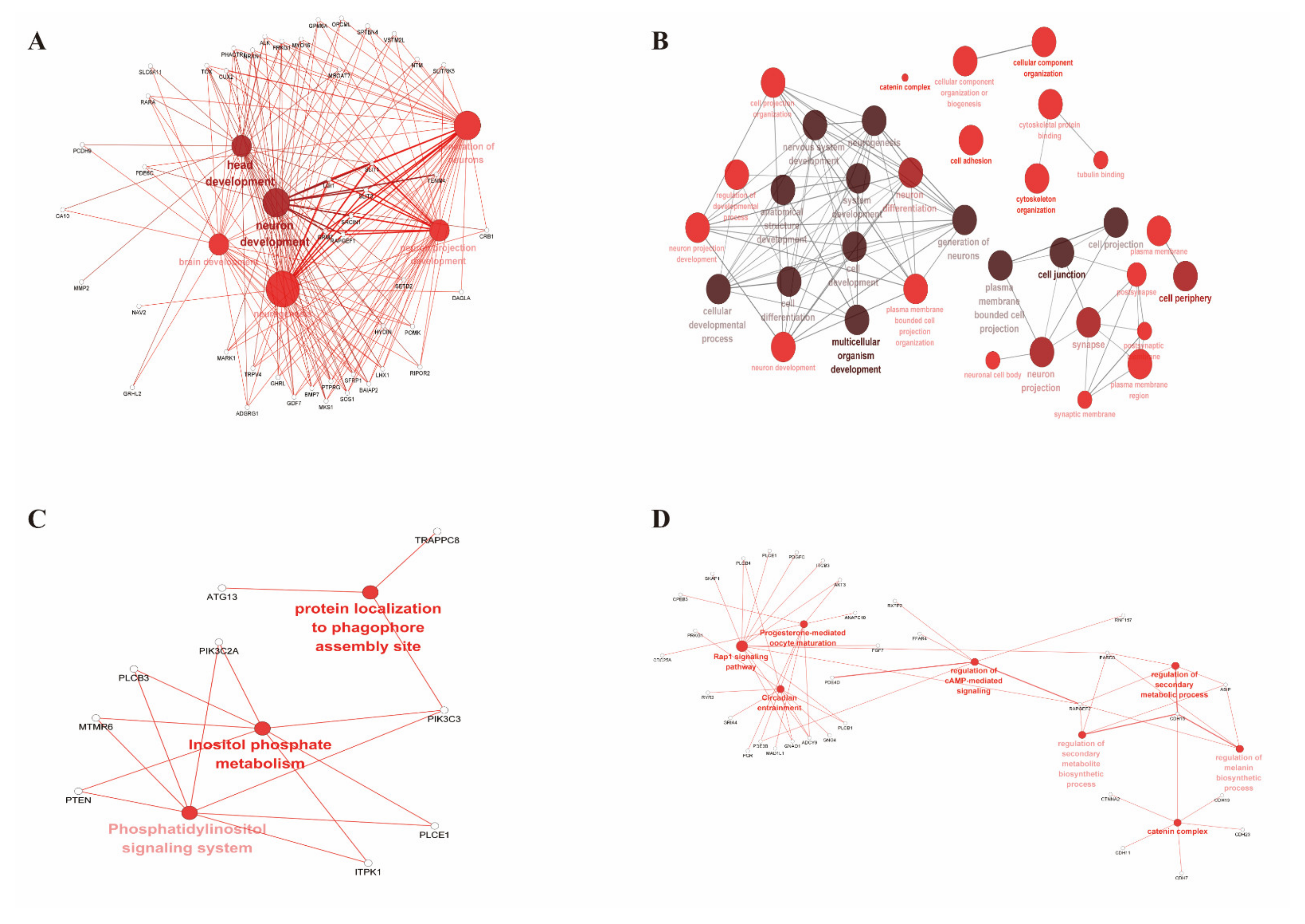 Genes 13 01539 g008 Genes 13 01539 g008