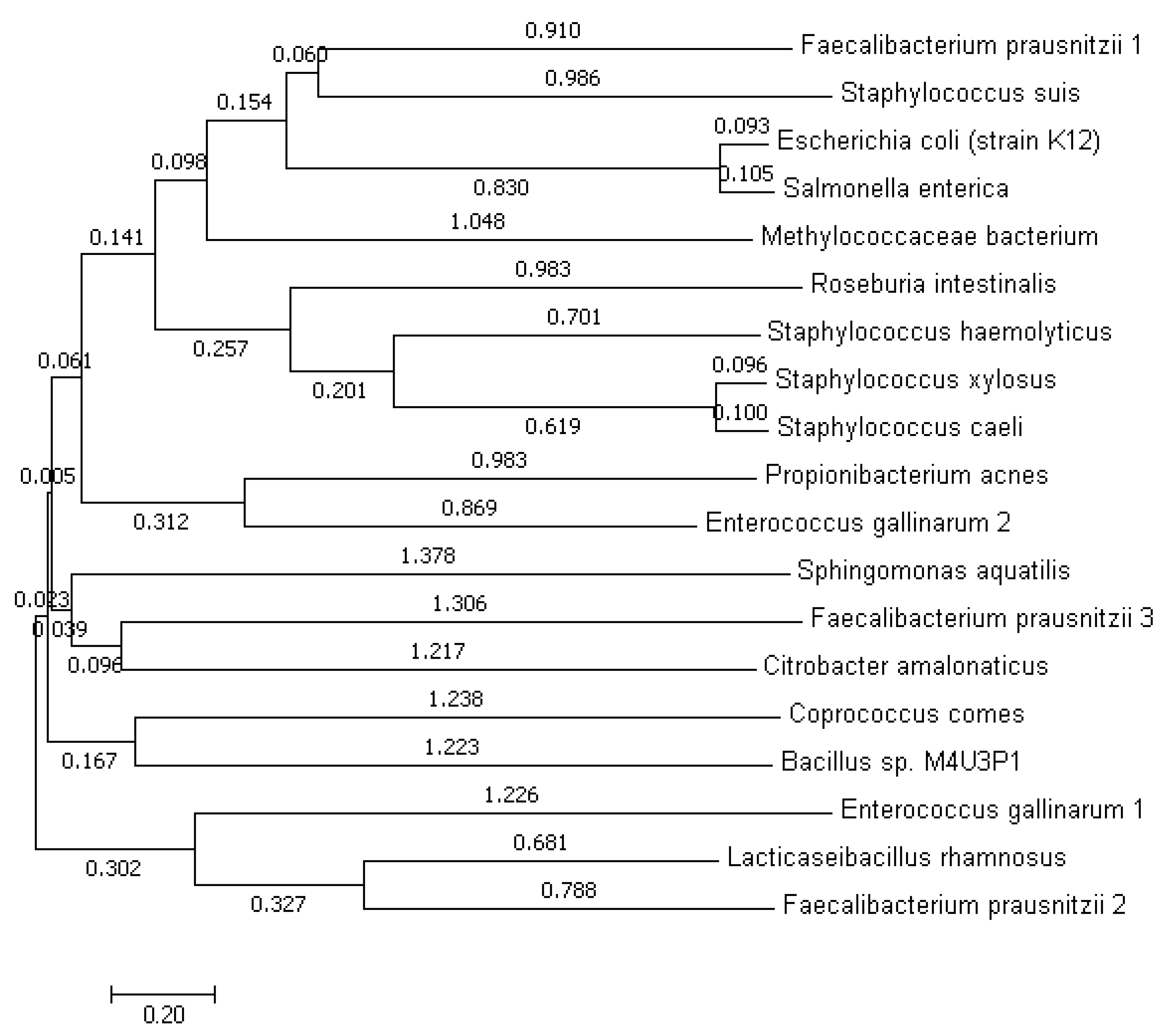 Genes 13 01545 g002 Genes 13 01545 g002