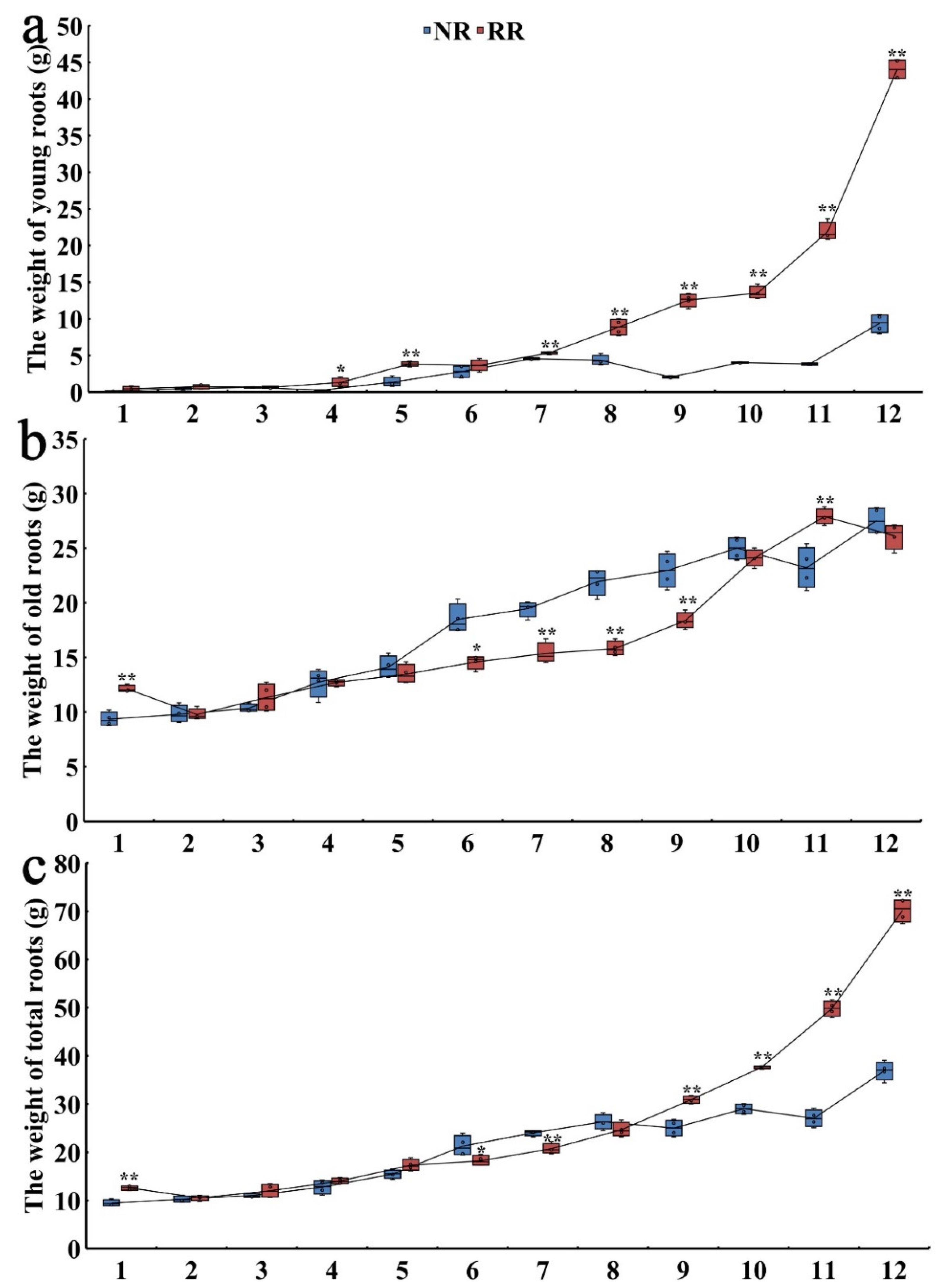 Genes 13 01547 g002