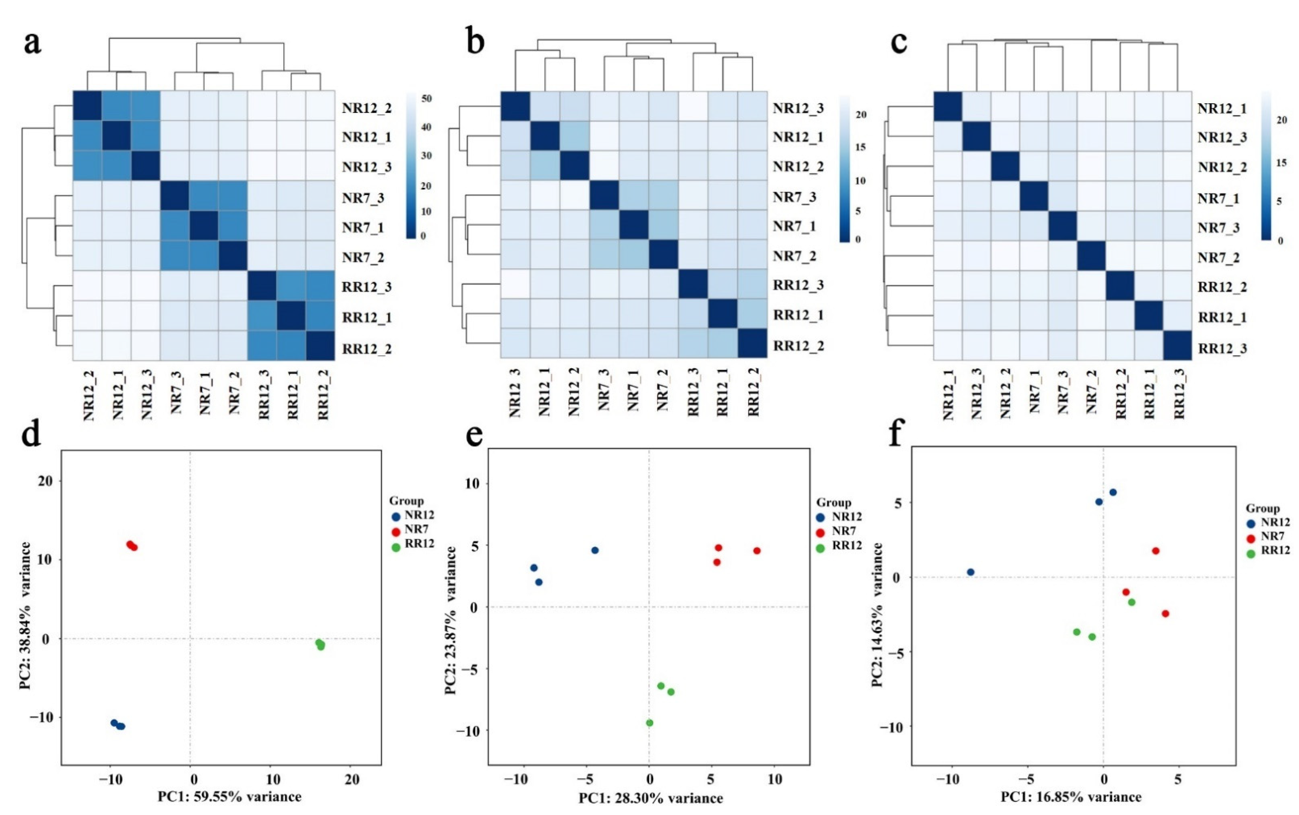 Genes 13 01547 g003