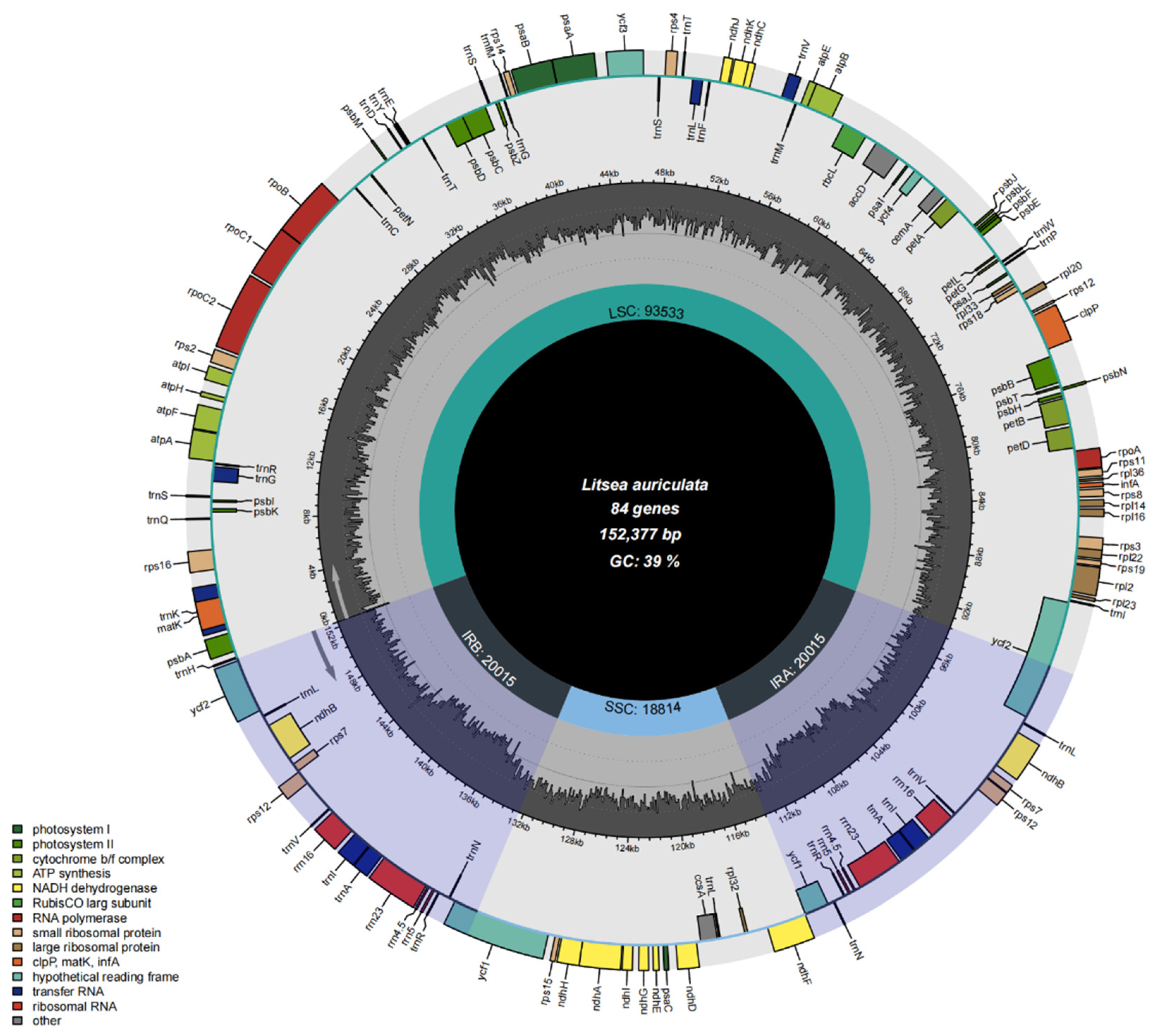 Genes 13 01550 g001 Genes 13 01550 g001