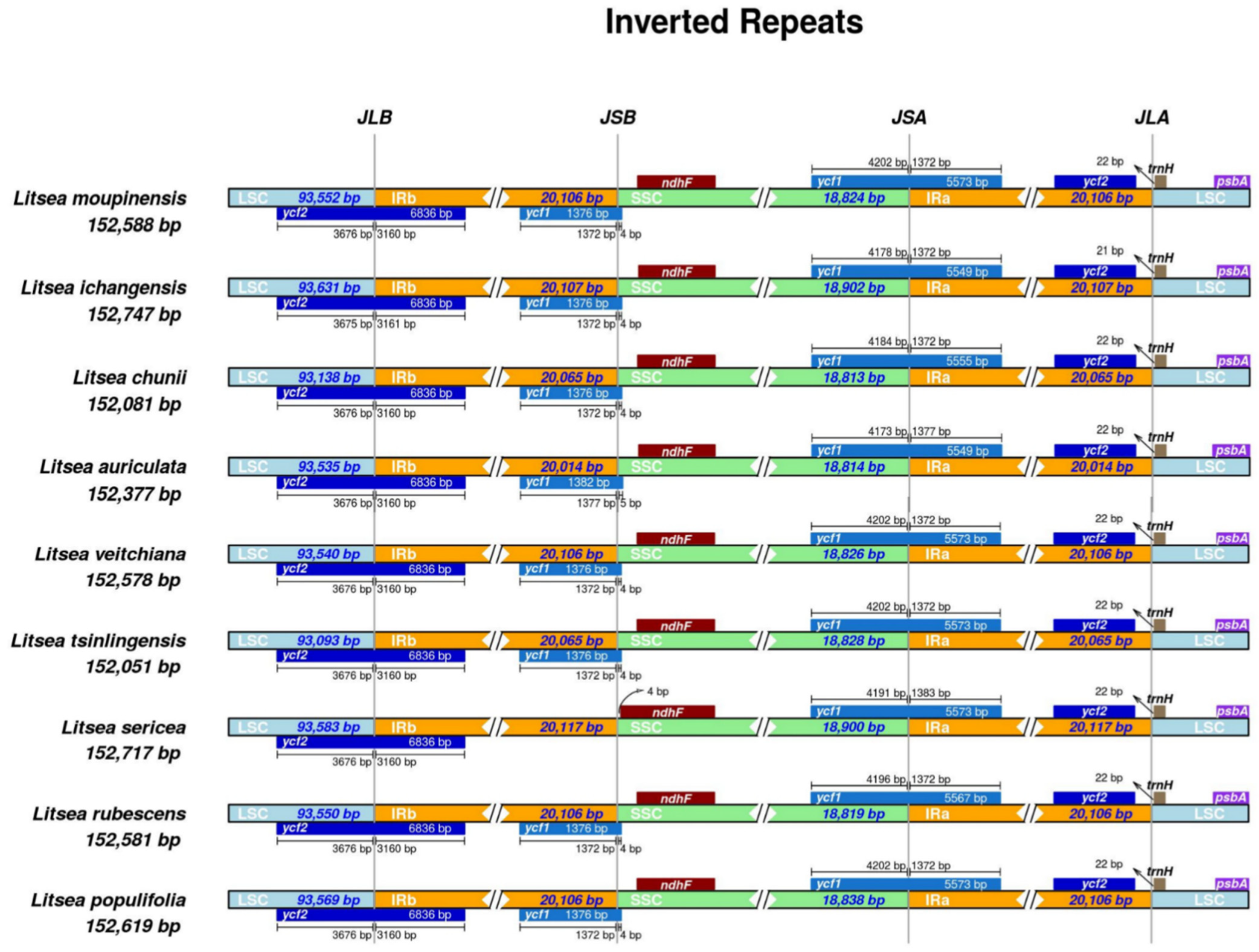 Genes 13 01550 g004 Genes 13 01550 g004