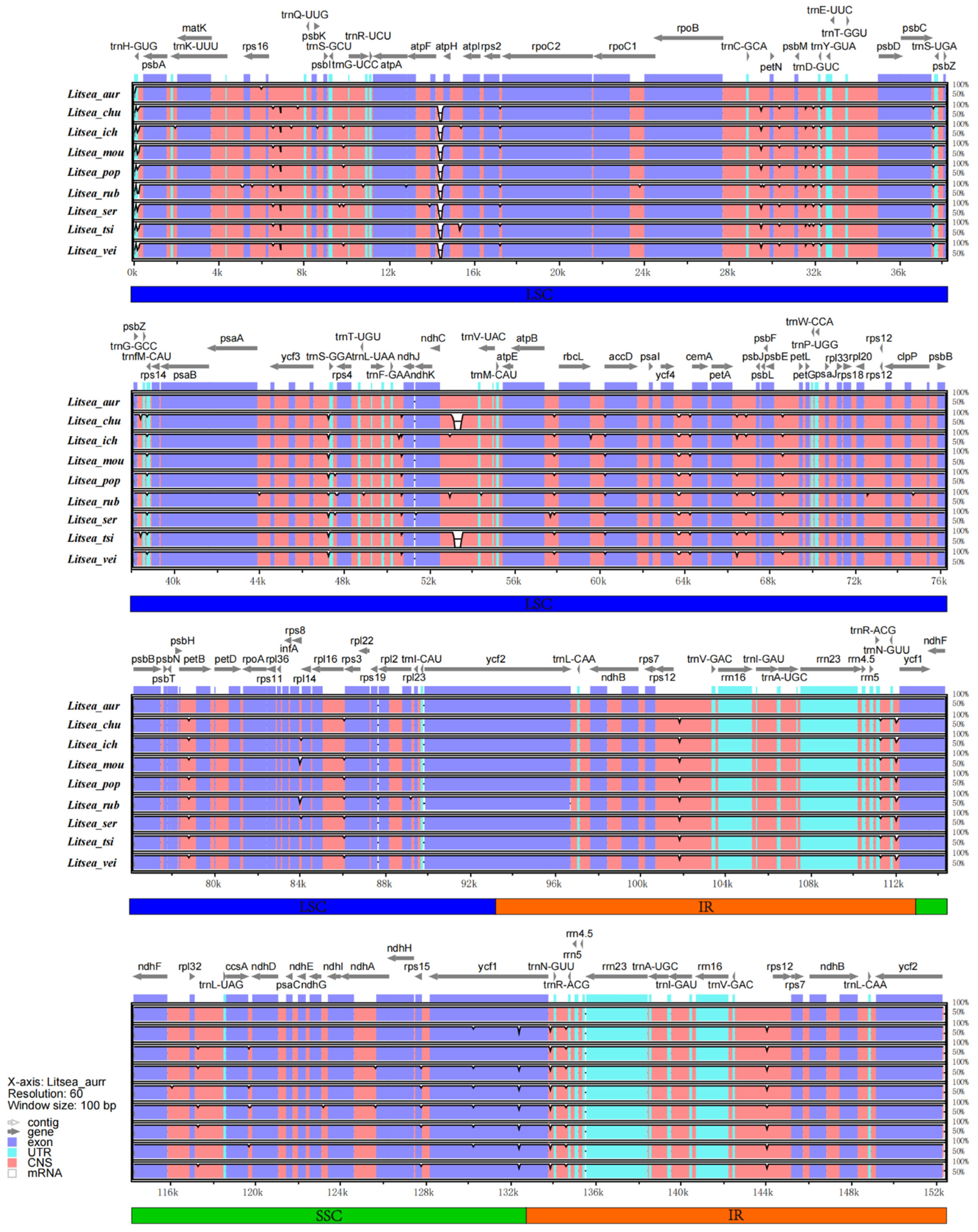 Genes 13 01550 g005 Genes 13 01550 g005