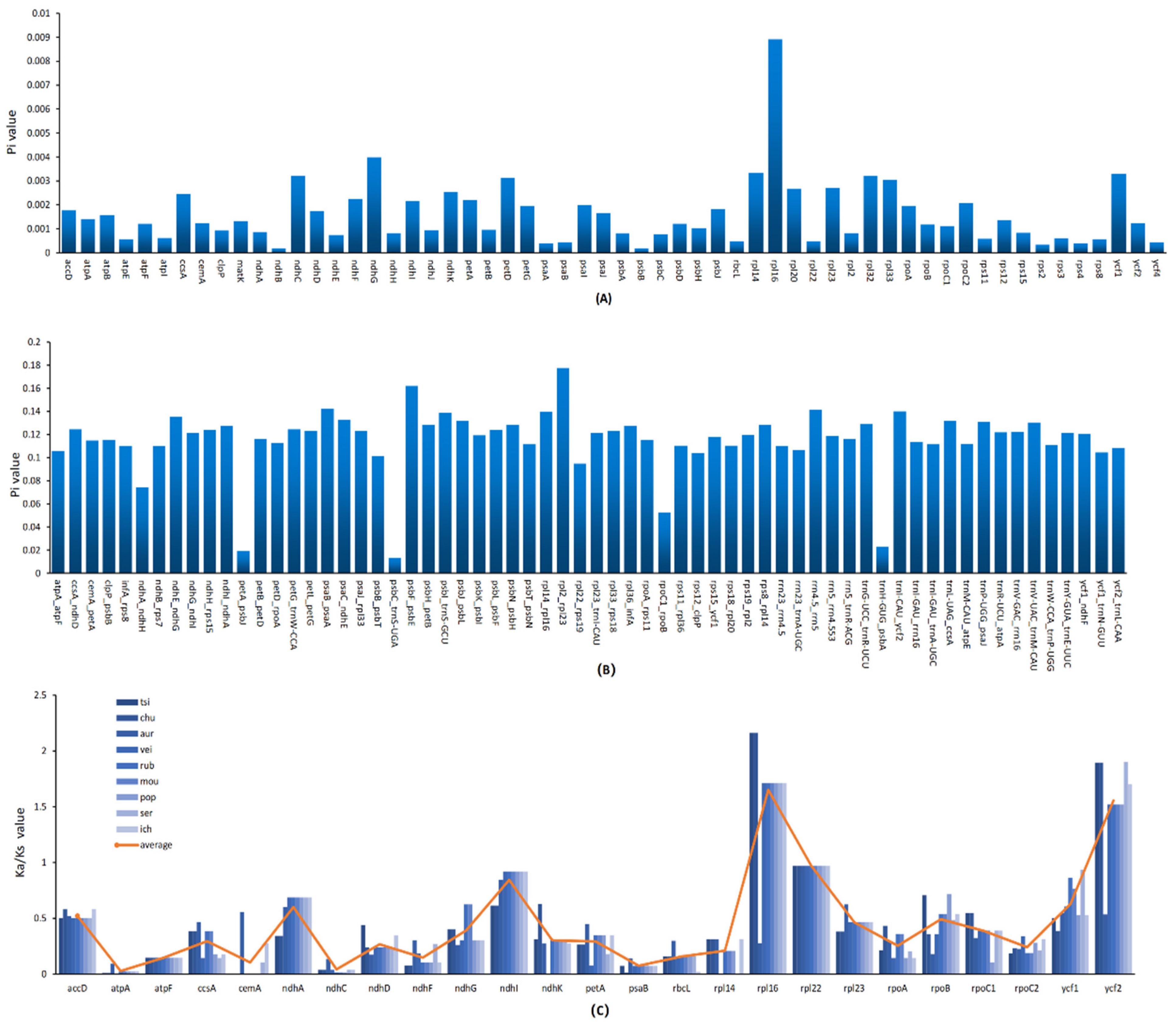 Genes 13 01550 g006 Genes 13 01550 g006