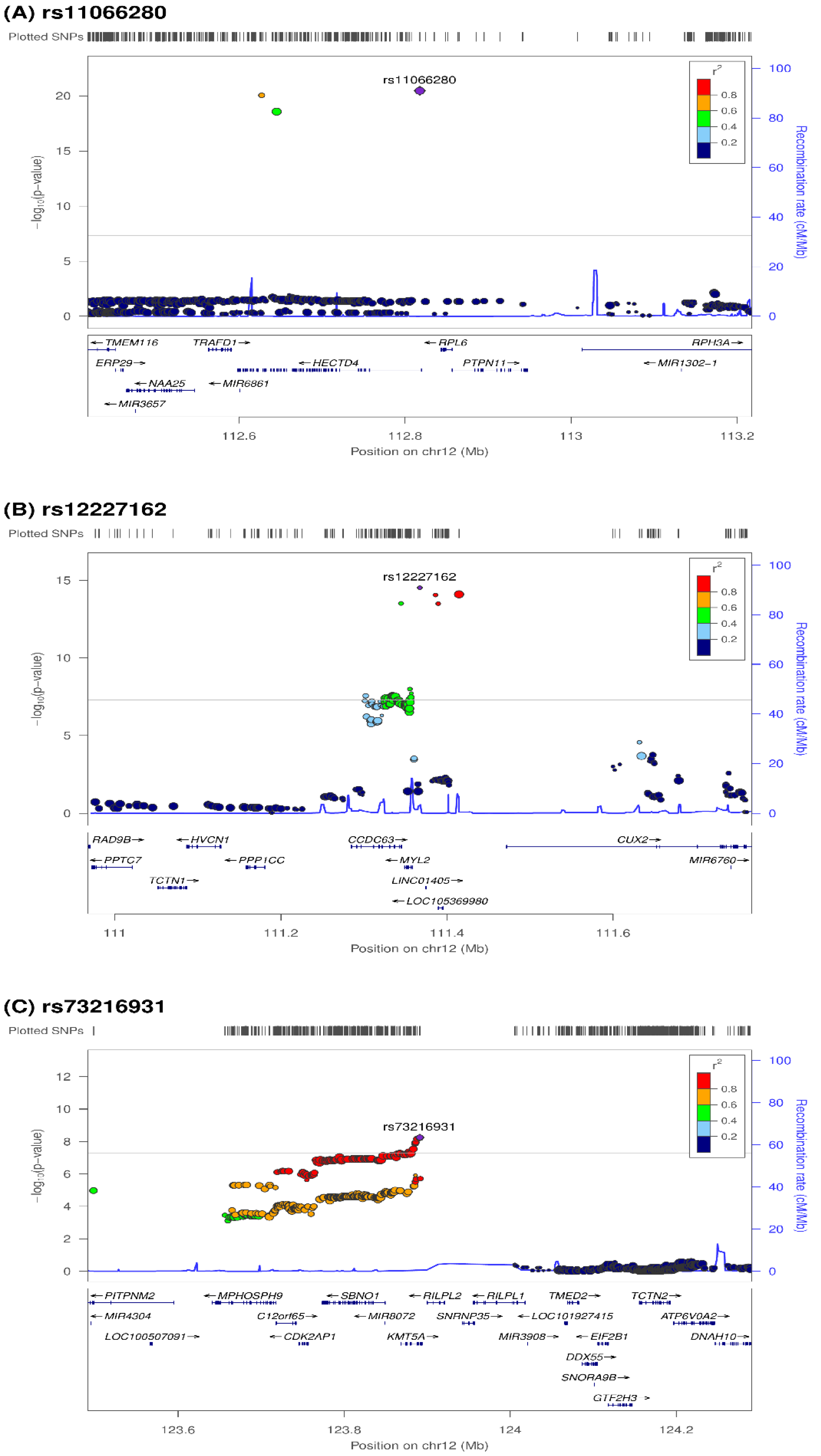 Genes 13 01553 g004 Genes 13 01553 g004