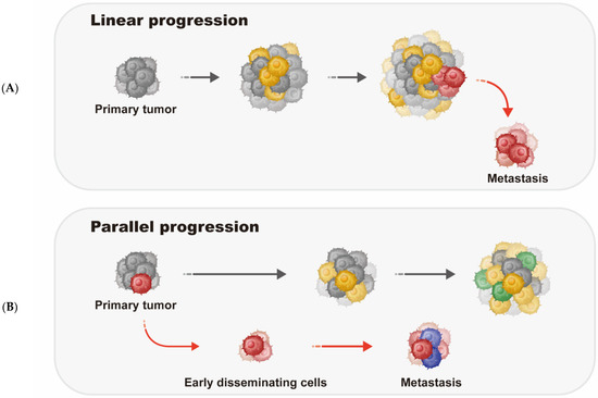 Genomic Evolution of Breast Cancer Metastasis and Relapse