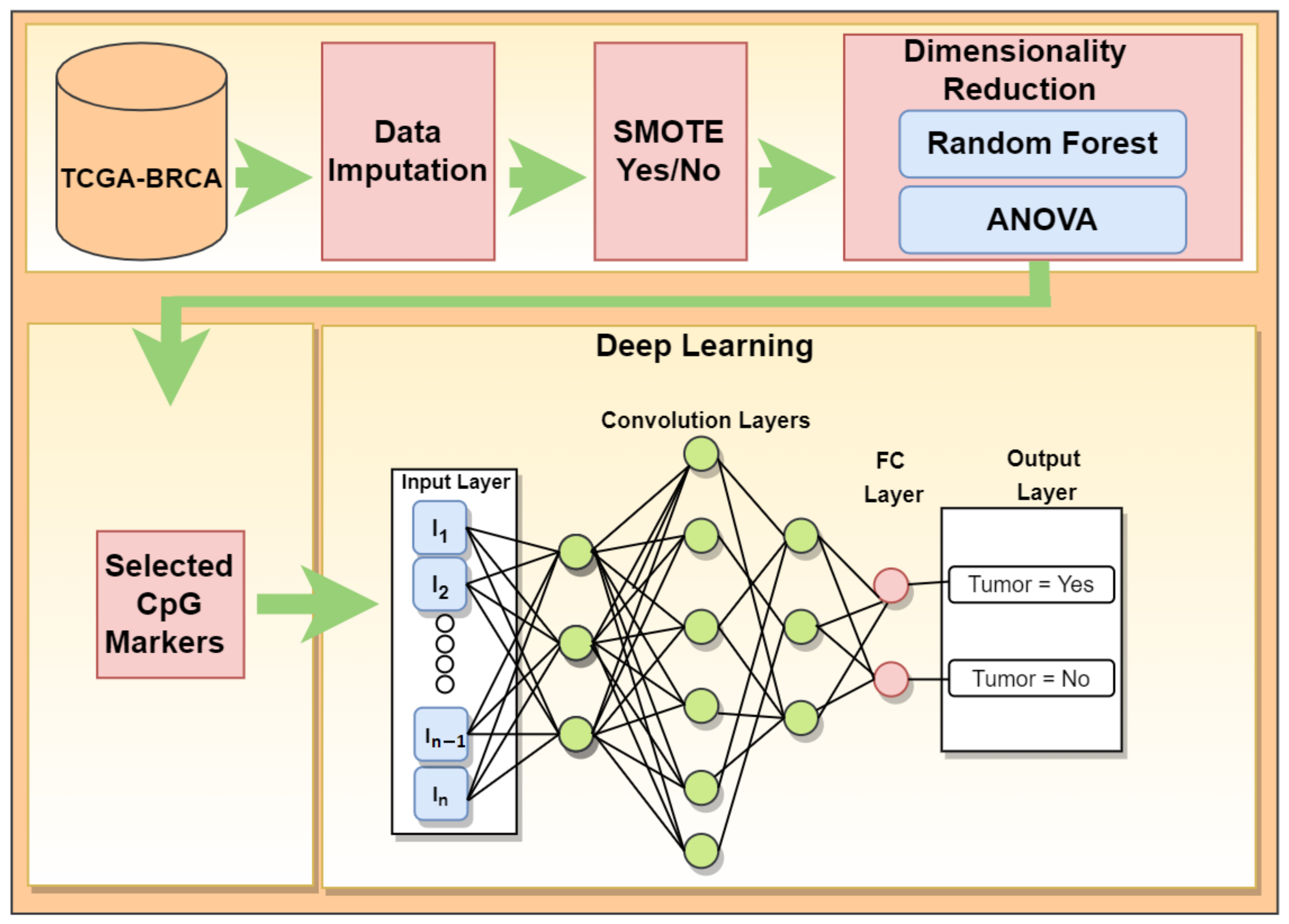 Genes 13 01557 g002 550