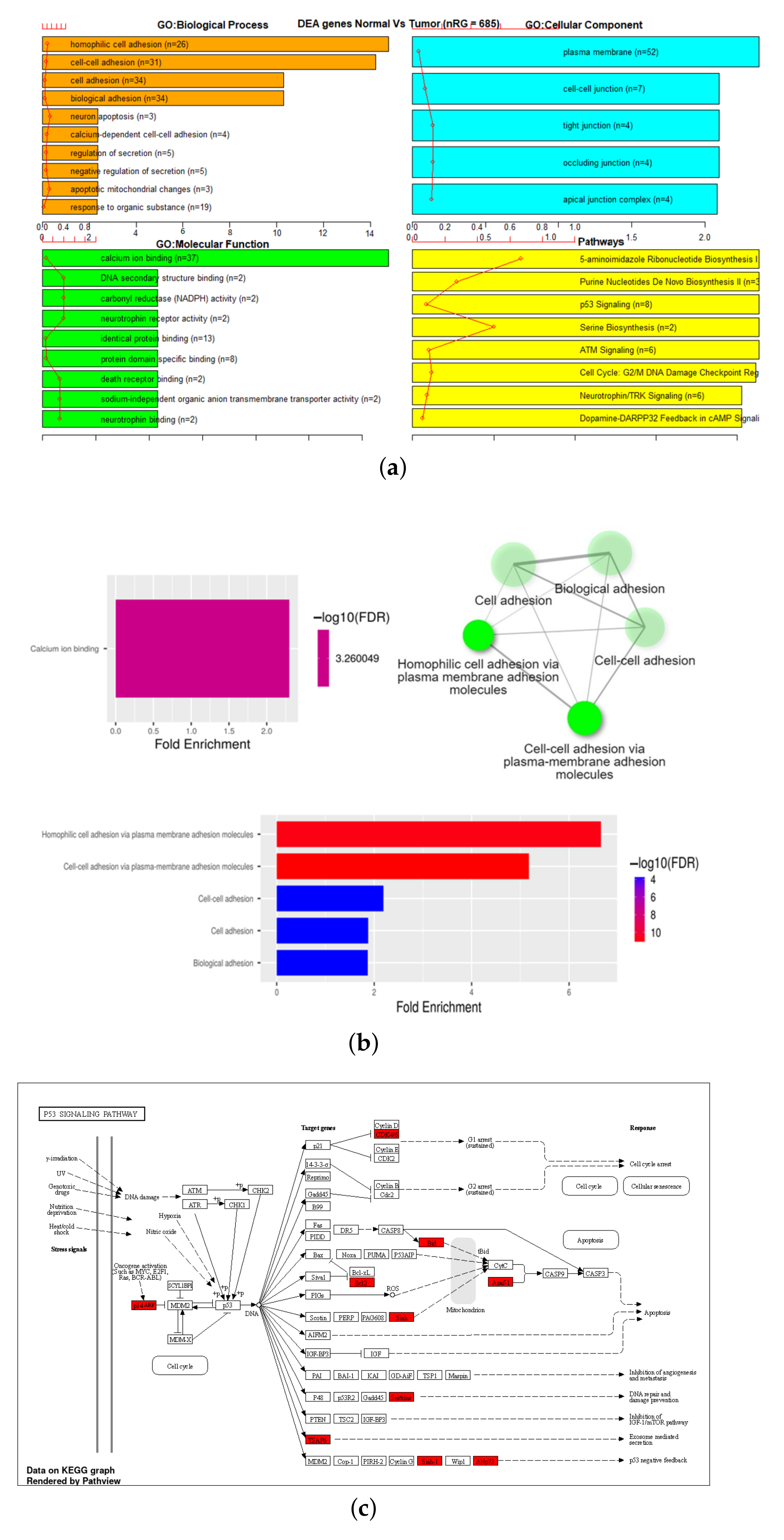 Genes 13 01557 g006 550