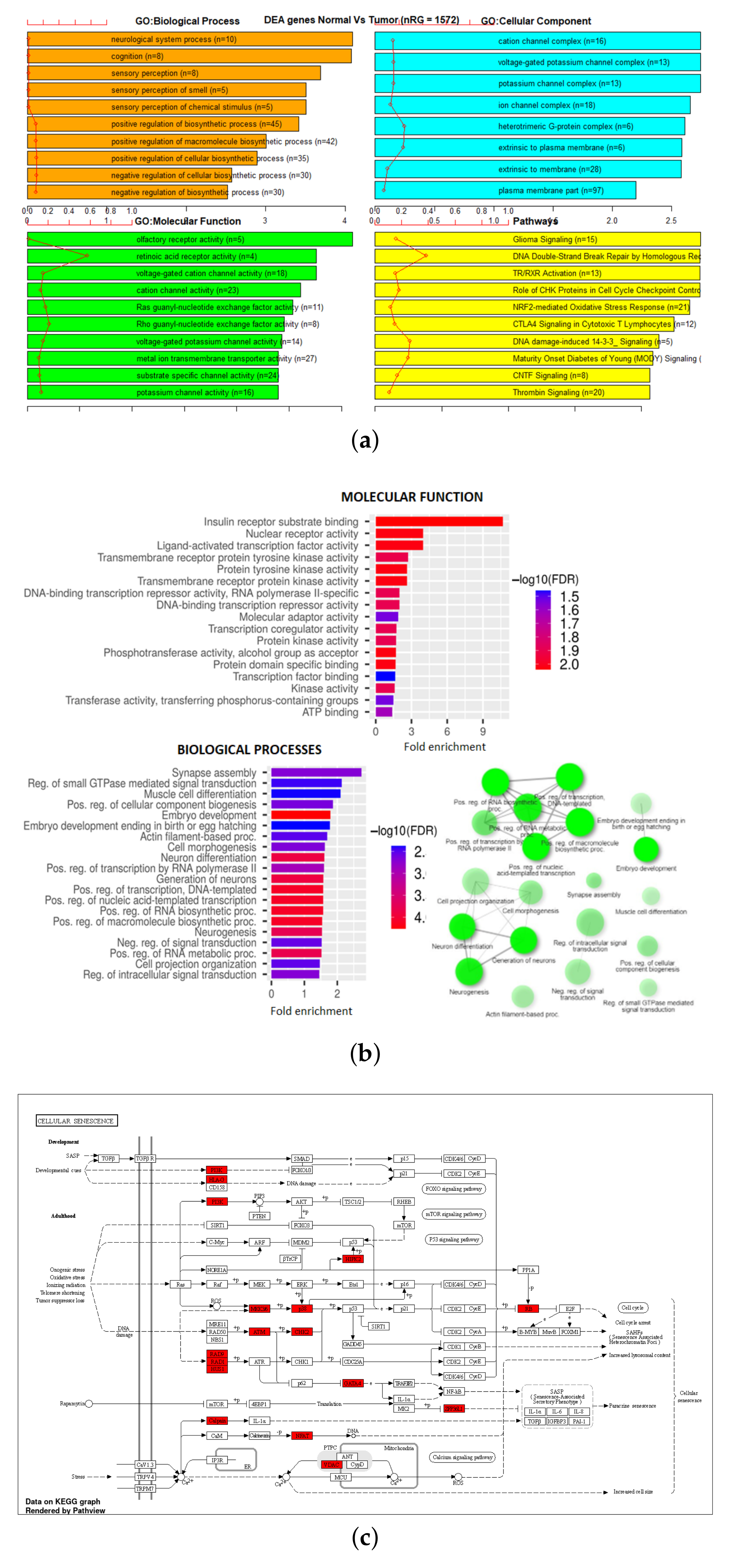 Genes 13 01557 g007 550
