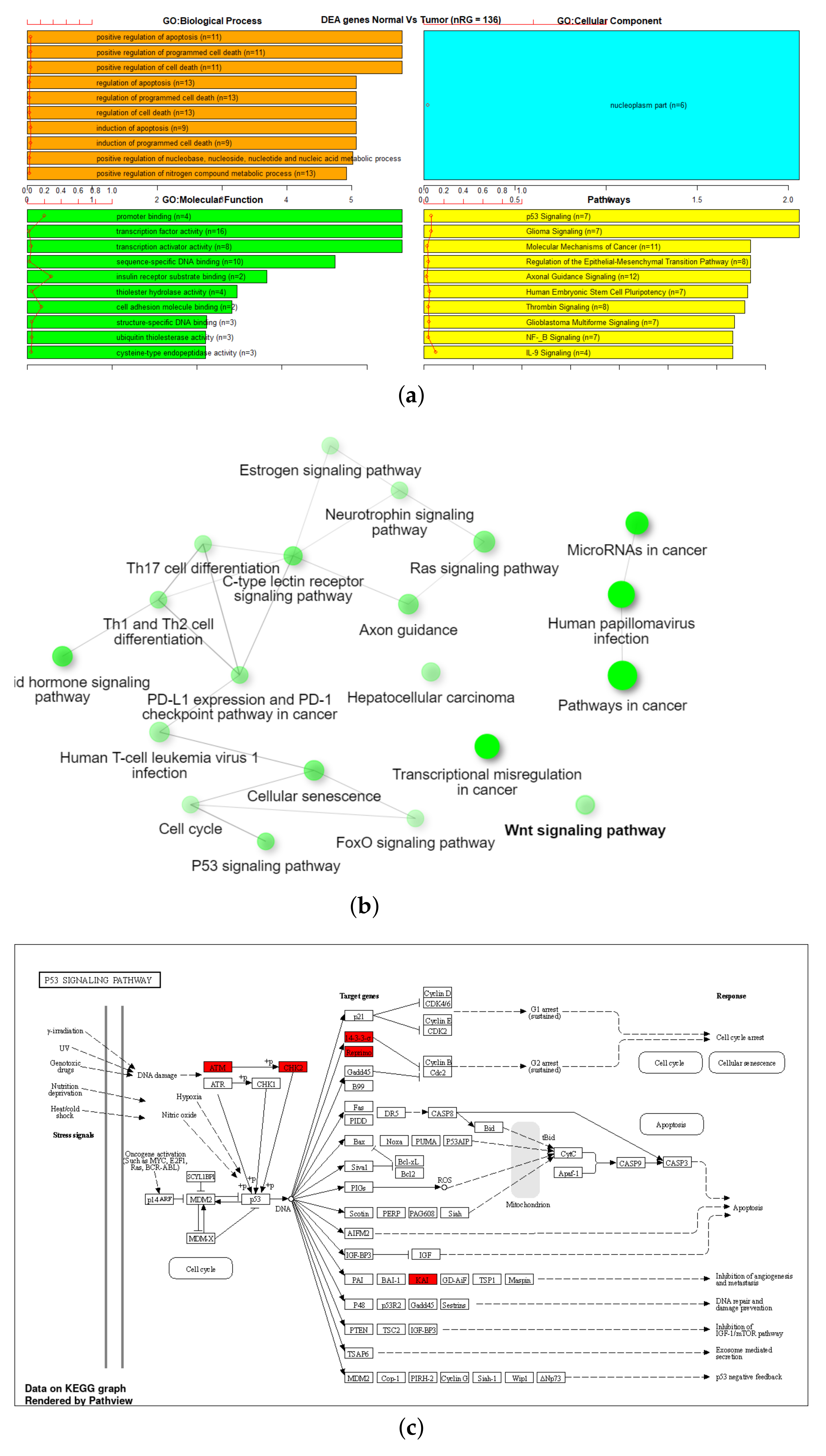 Genes 13 01557 g009 550