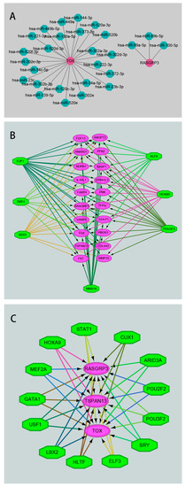 Identification of Differentially Expressed Genes and Prediction of ...