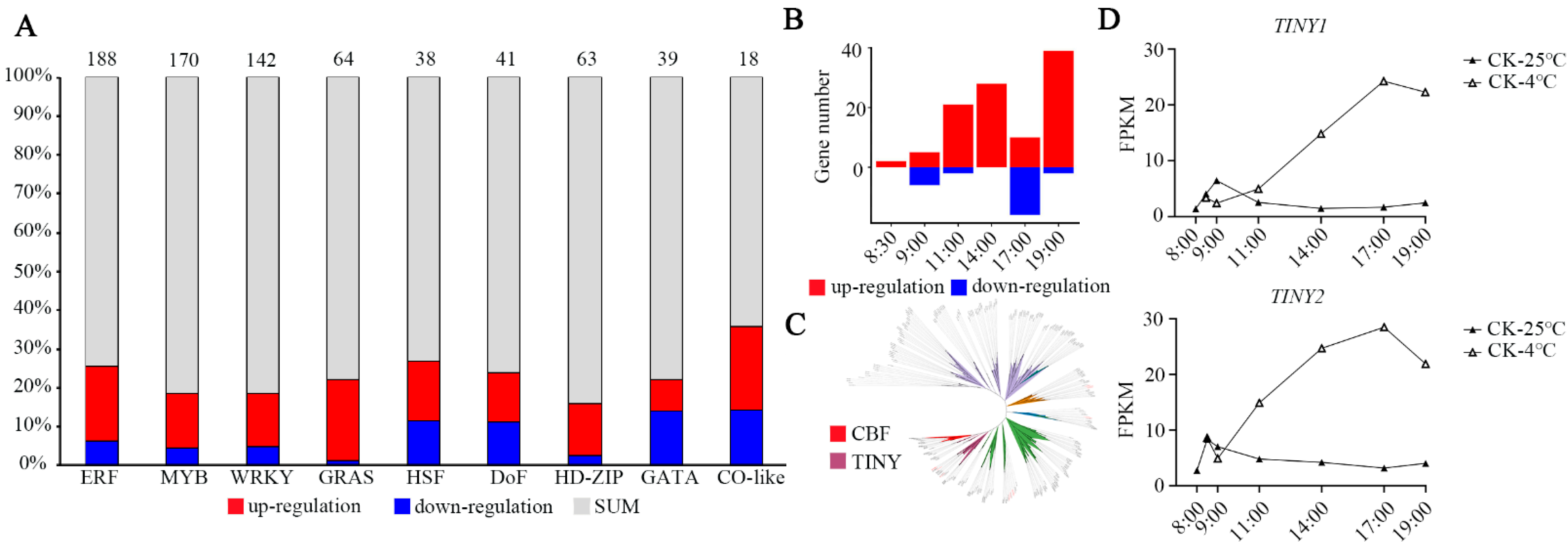 Genes 13 01565 g004