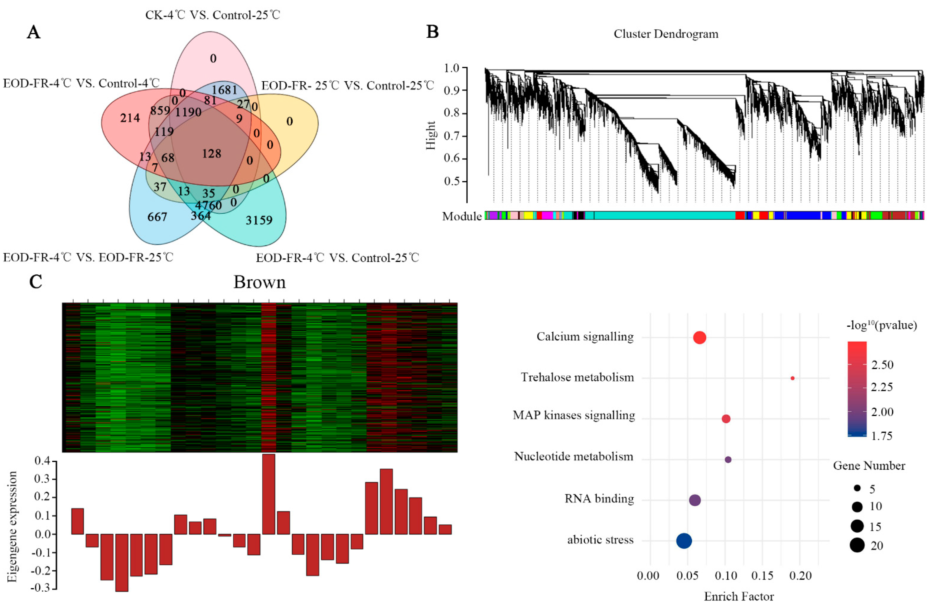 Genes 13 01565 g006