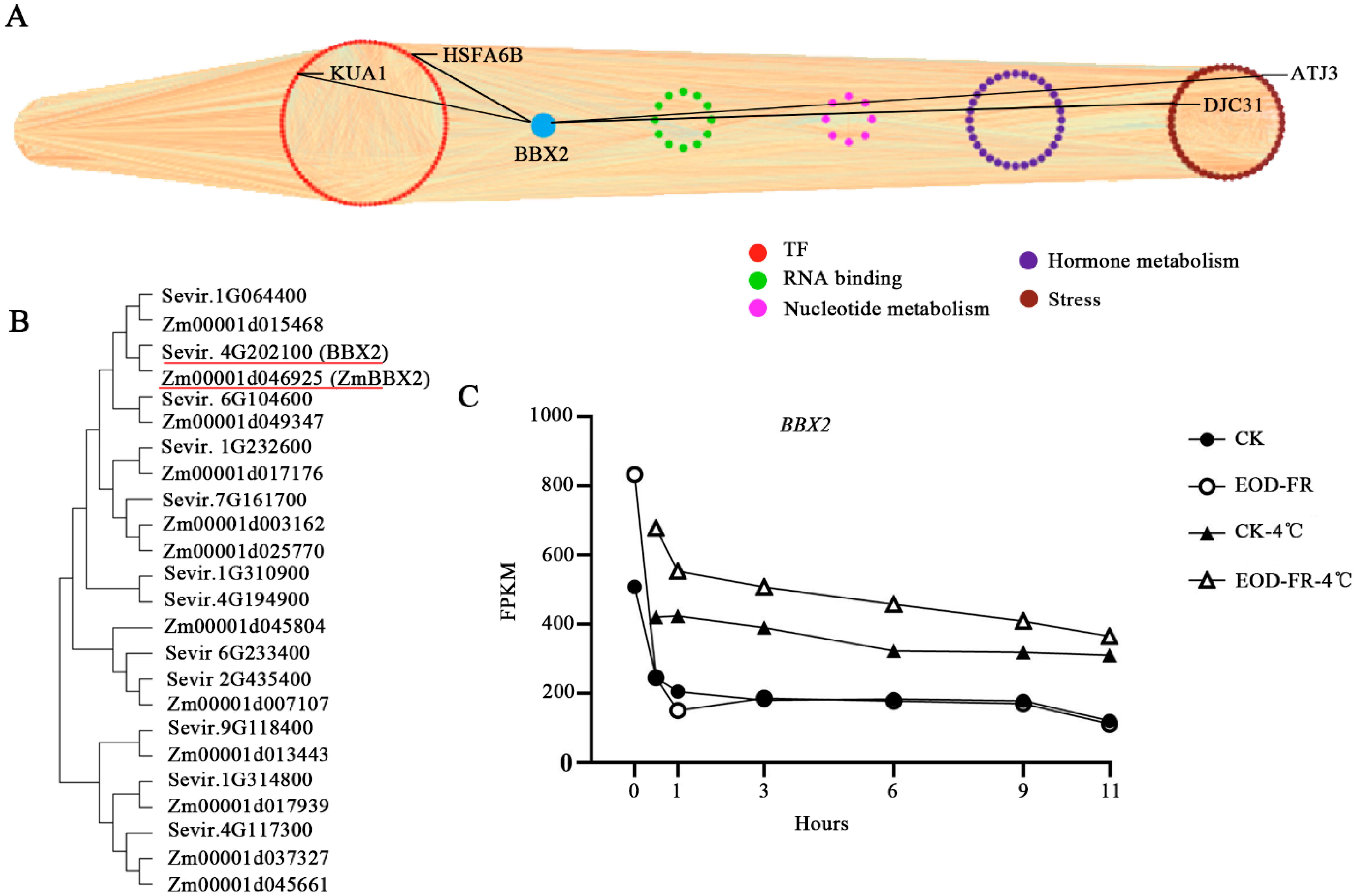 Genes 13 01565 g007