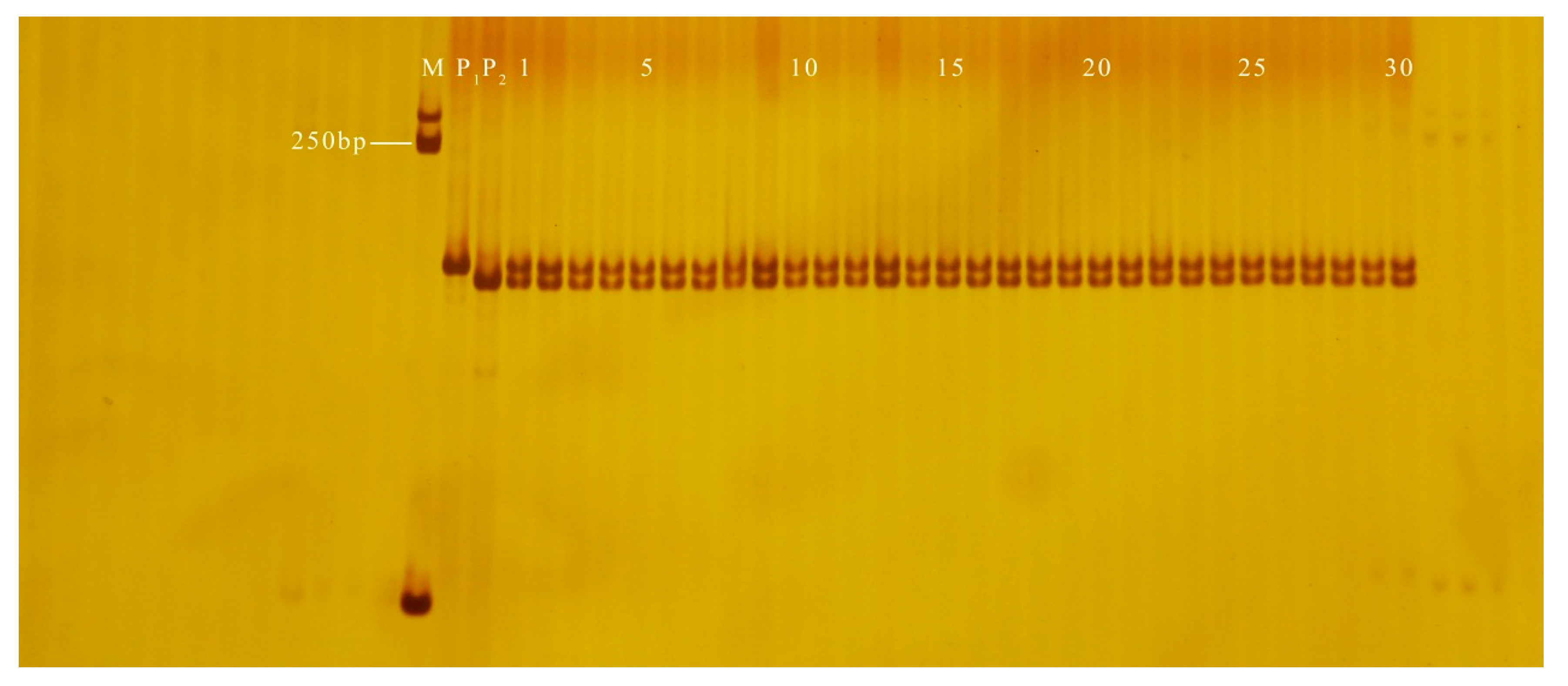 Genes 13 01567 g009