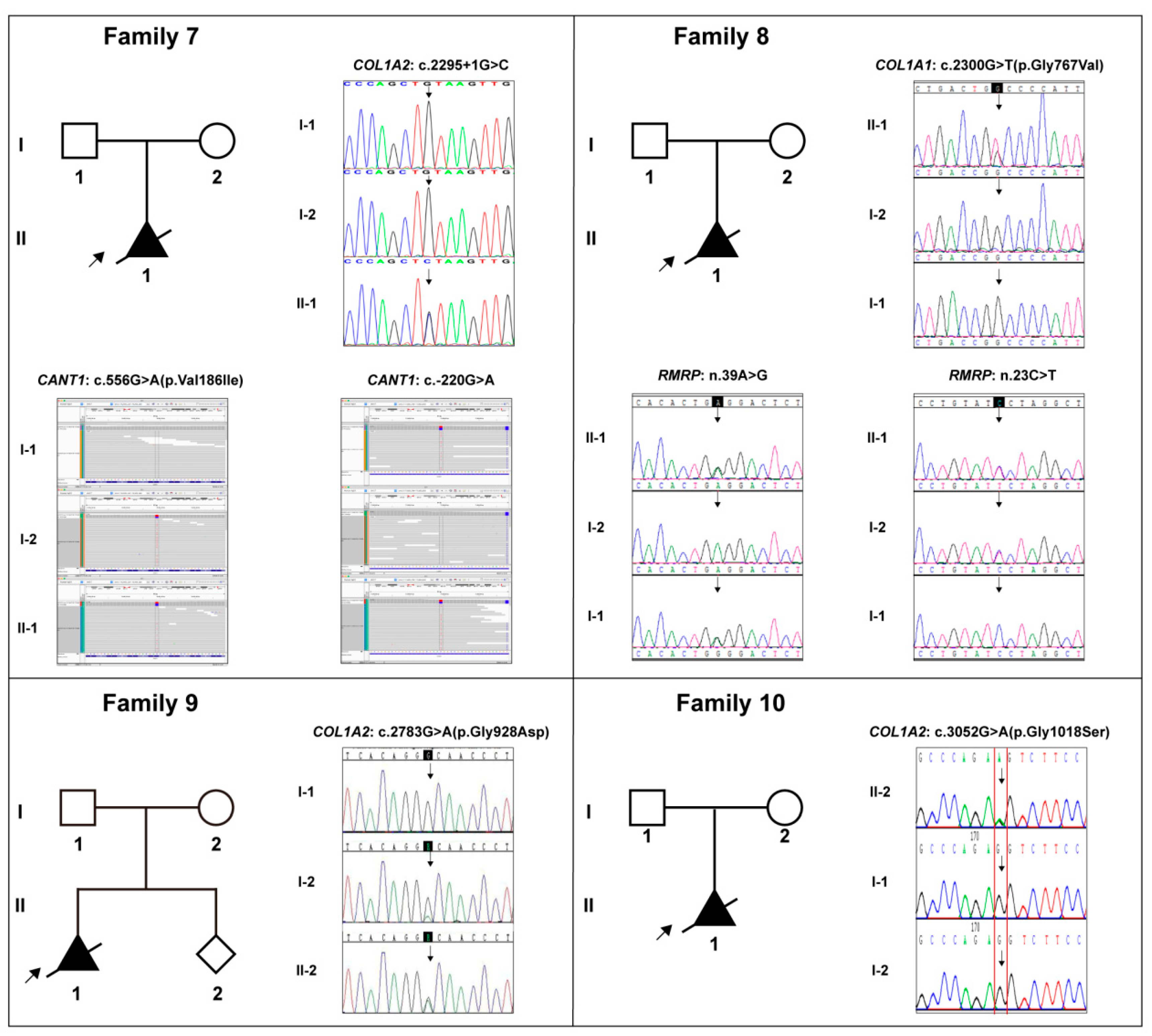 Genes 13 01578 g003 Genes 13 01578 g003