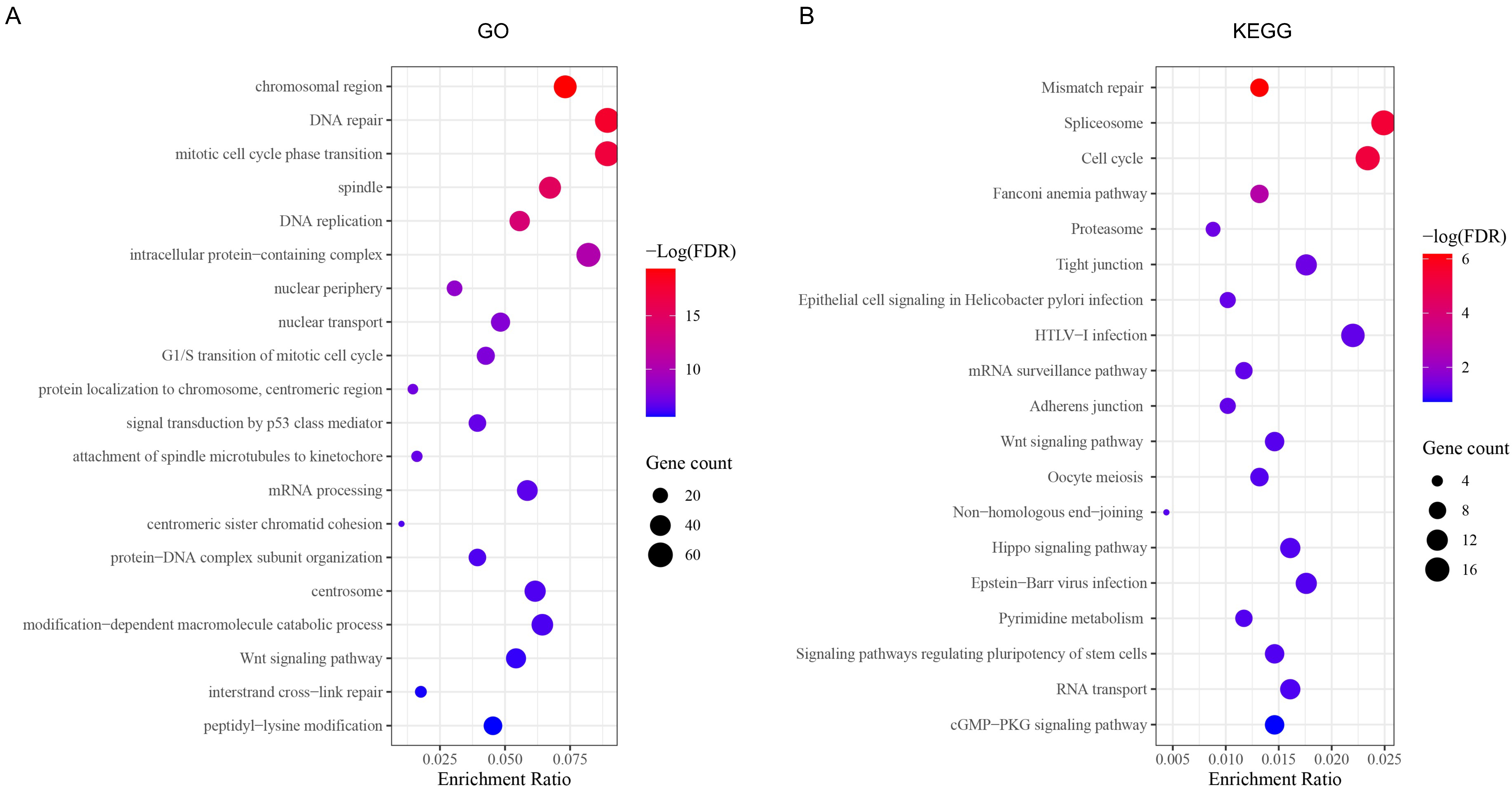 Genes 13 01582 g006 550