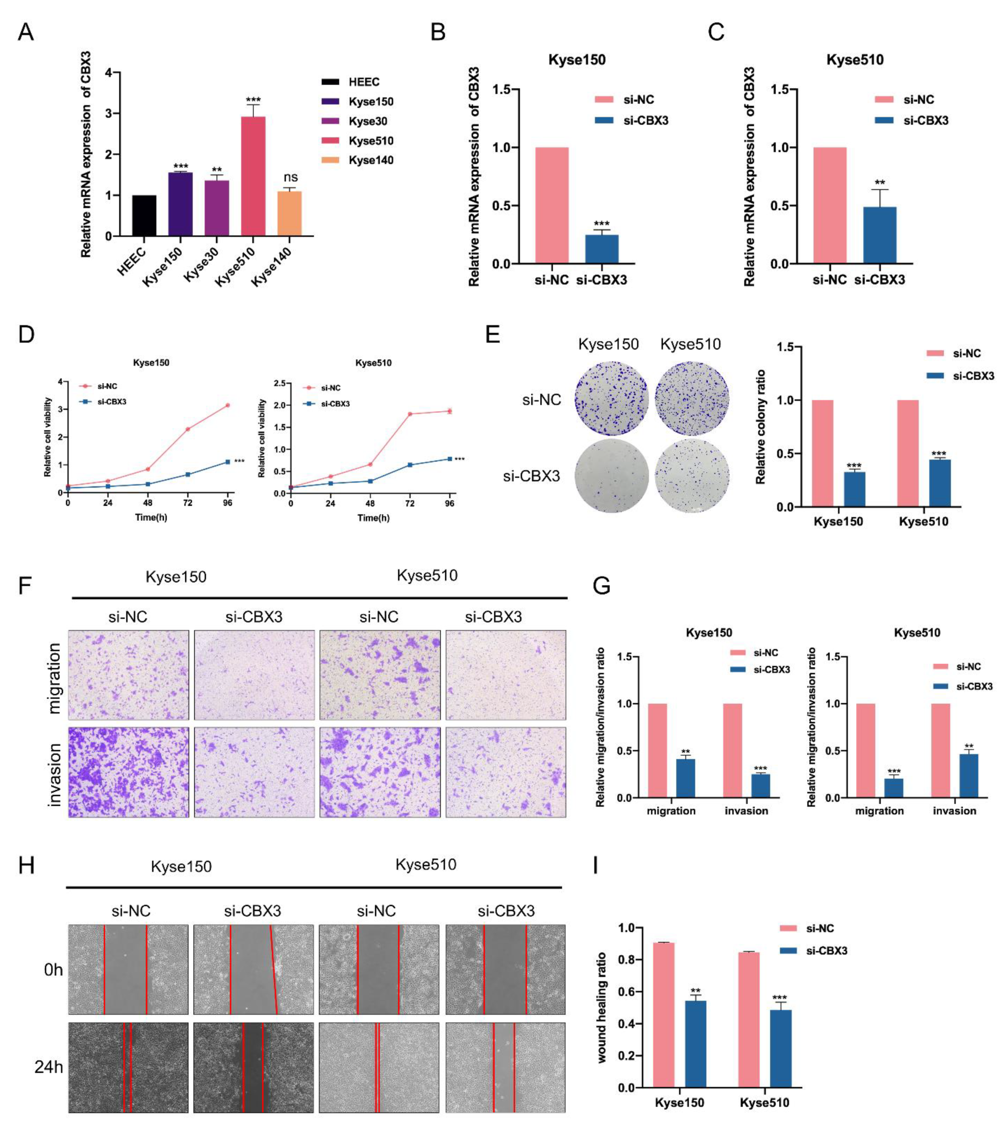 Genes 13 01582 g008 550