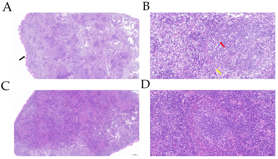 Genes 13 01586 g002 Genes 13 01586 g002