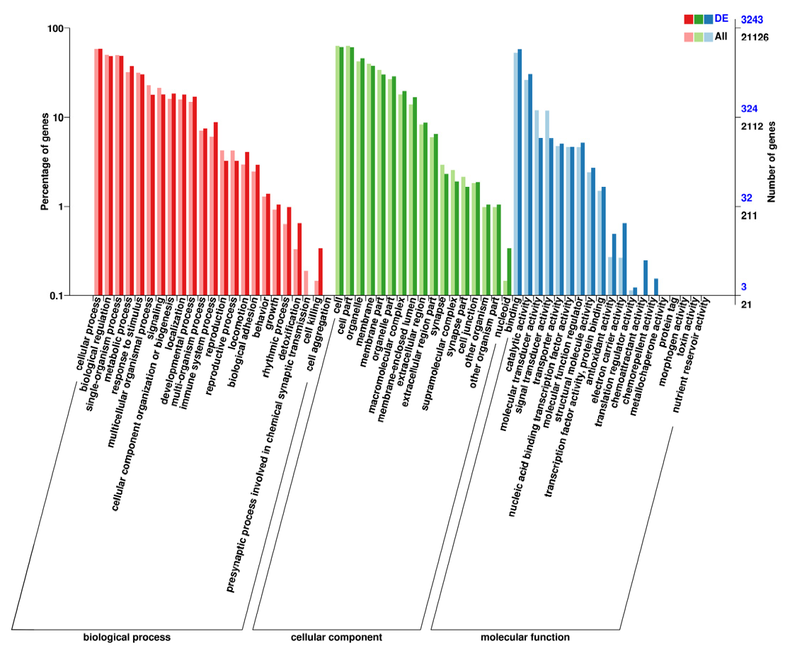 Genes 13 01586 g006 Genes 13 01586 g006