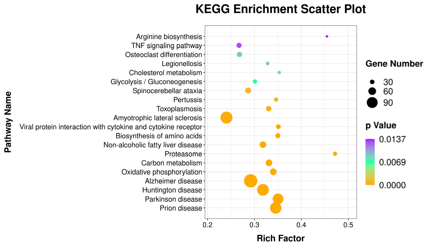 Genes 13 01586 g008 Genes 13 01586 g008