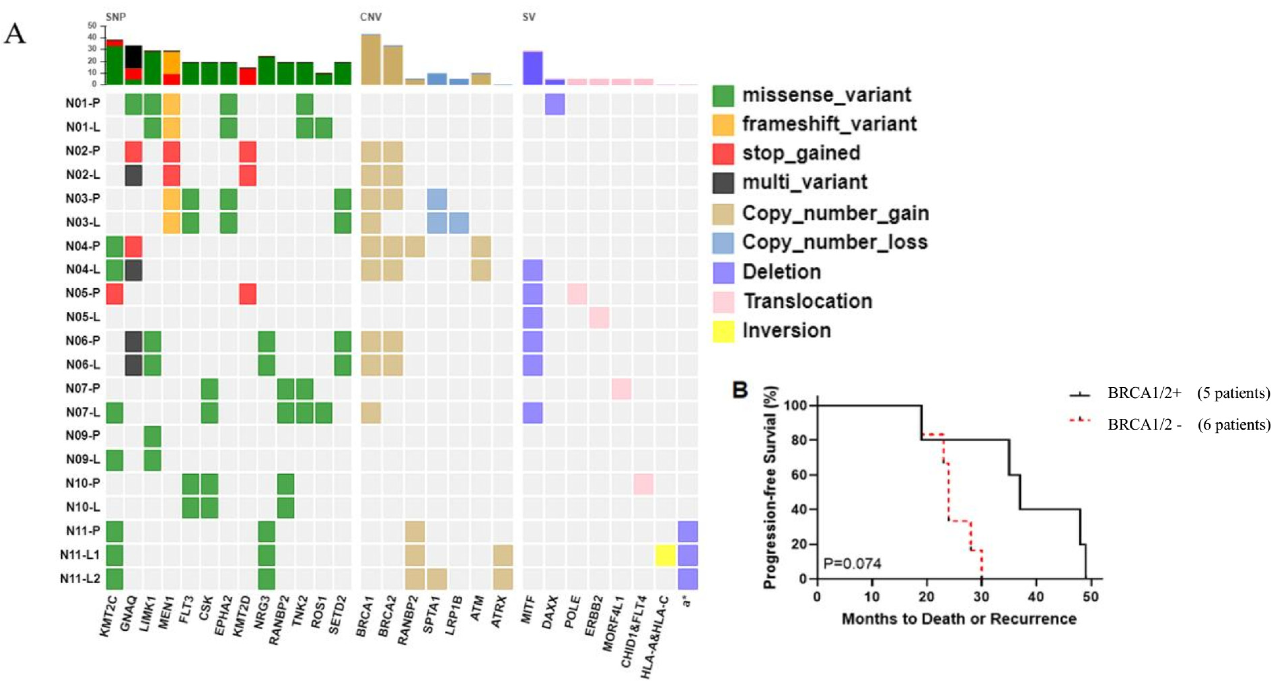 Genes 13 01588 g002 550