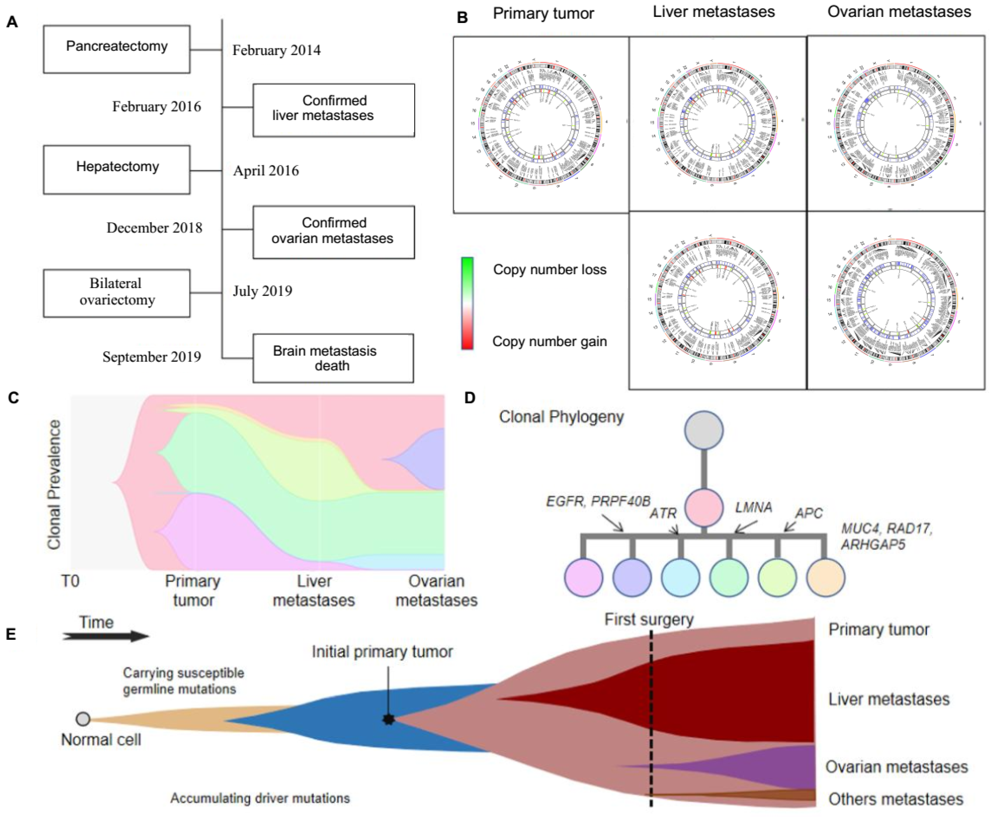 Genes 13 01588 g003 550