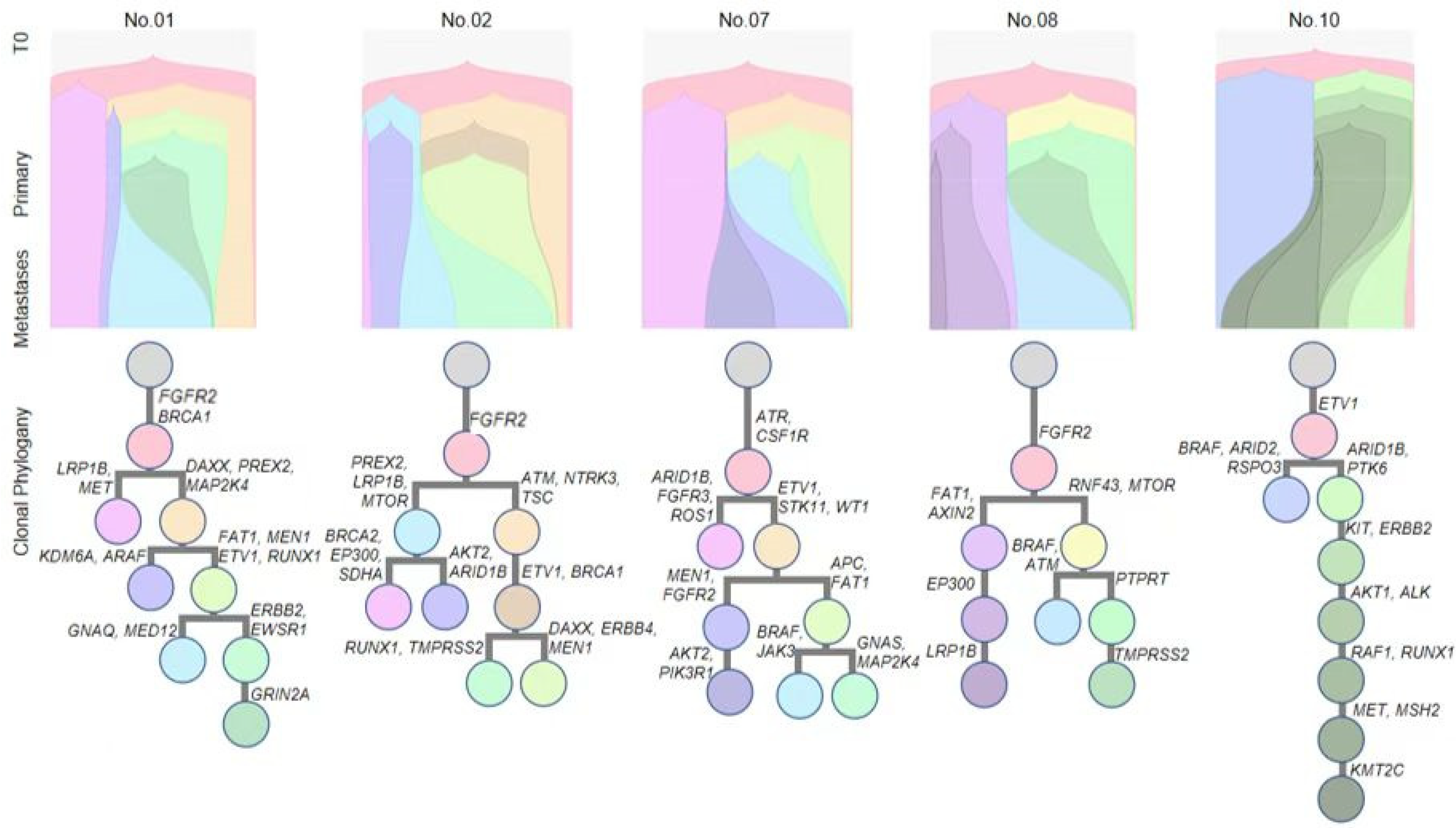 Genes 13 01588 g004 550
