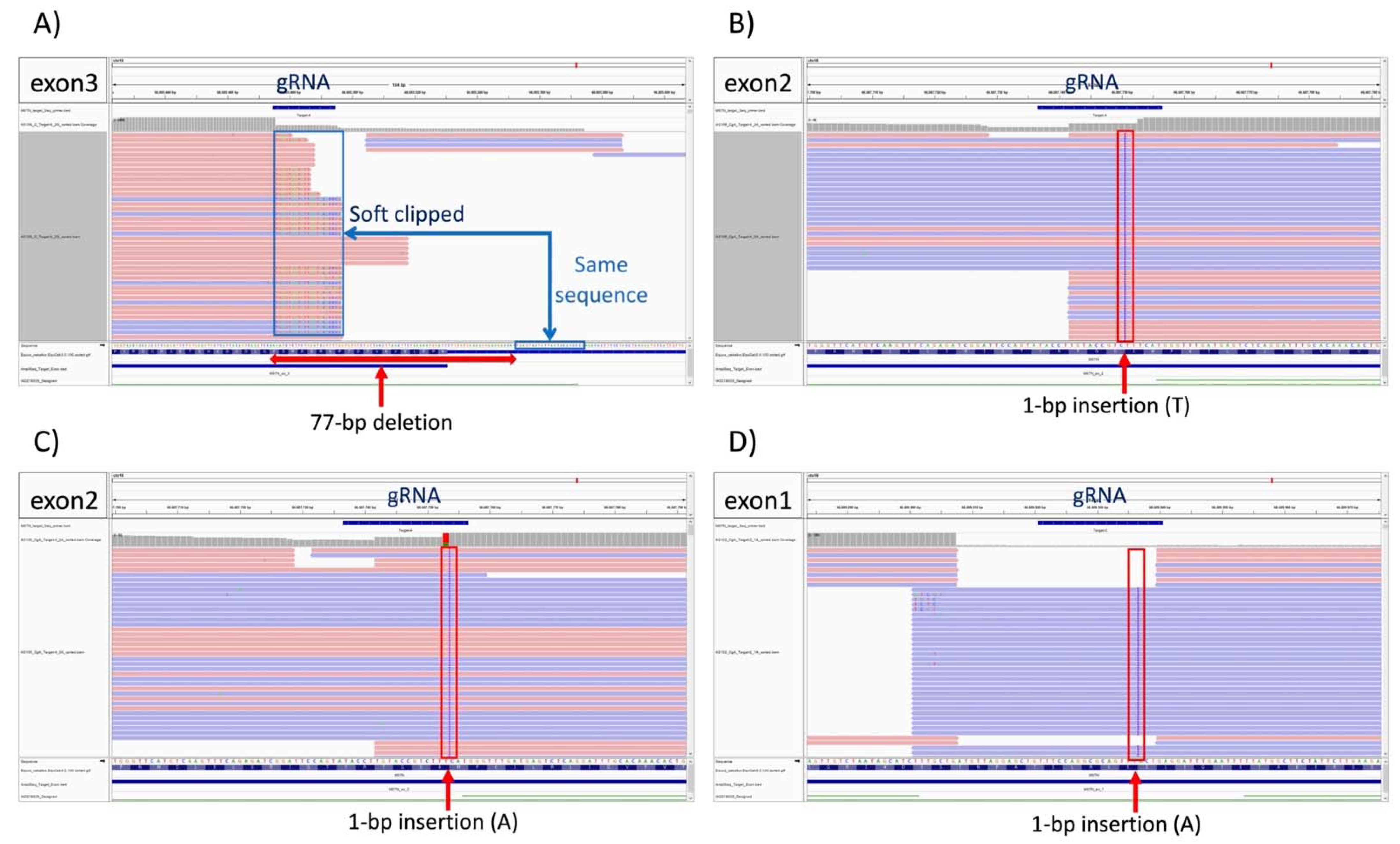 Genes 13 01589 g003 Genes 13 01589 g003
