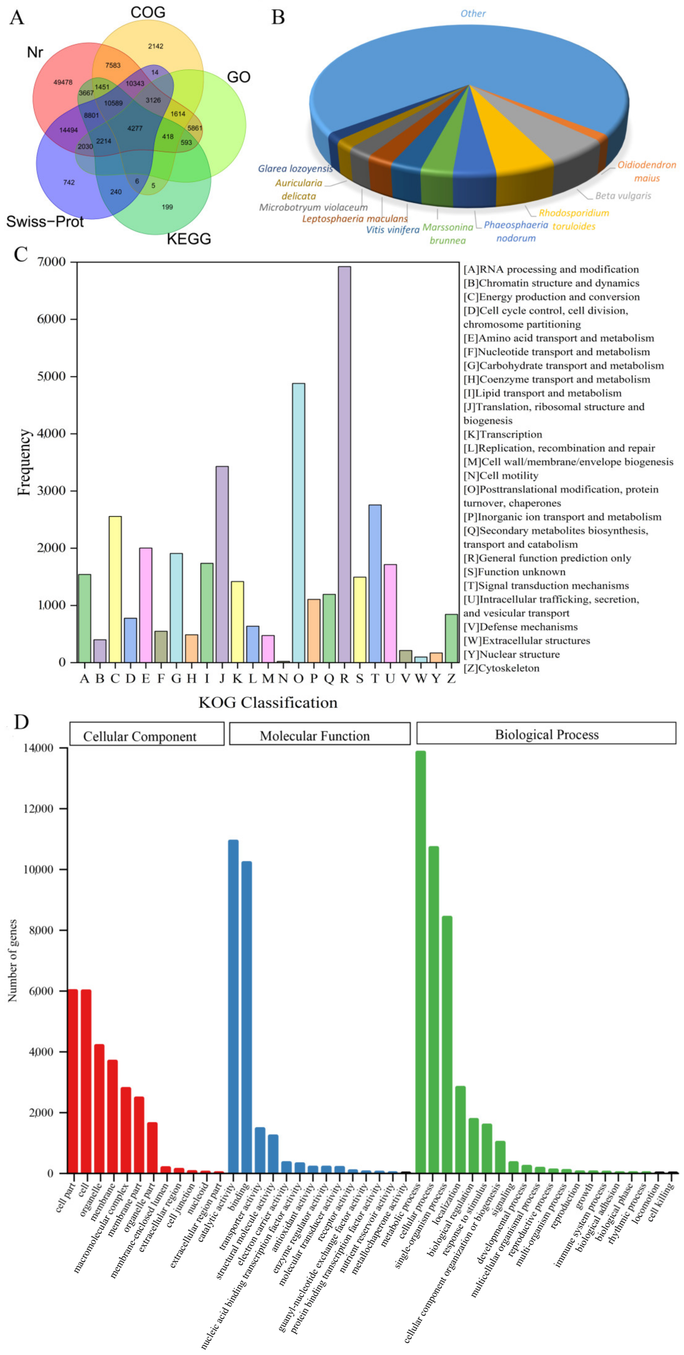 Genes 13 01592 g001
