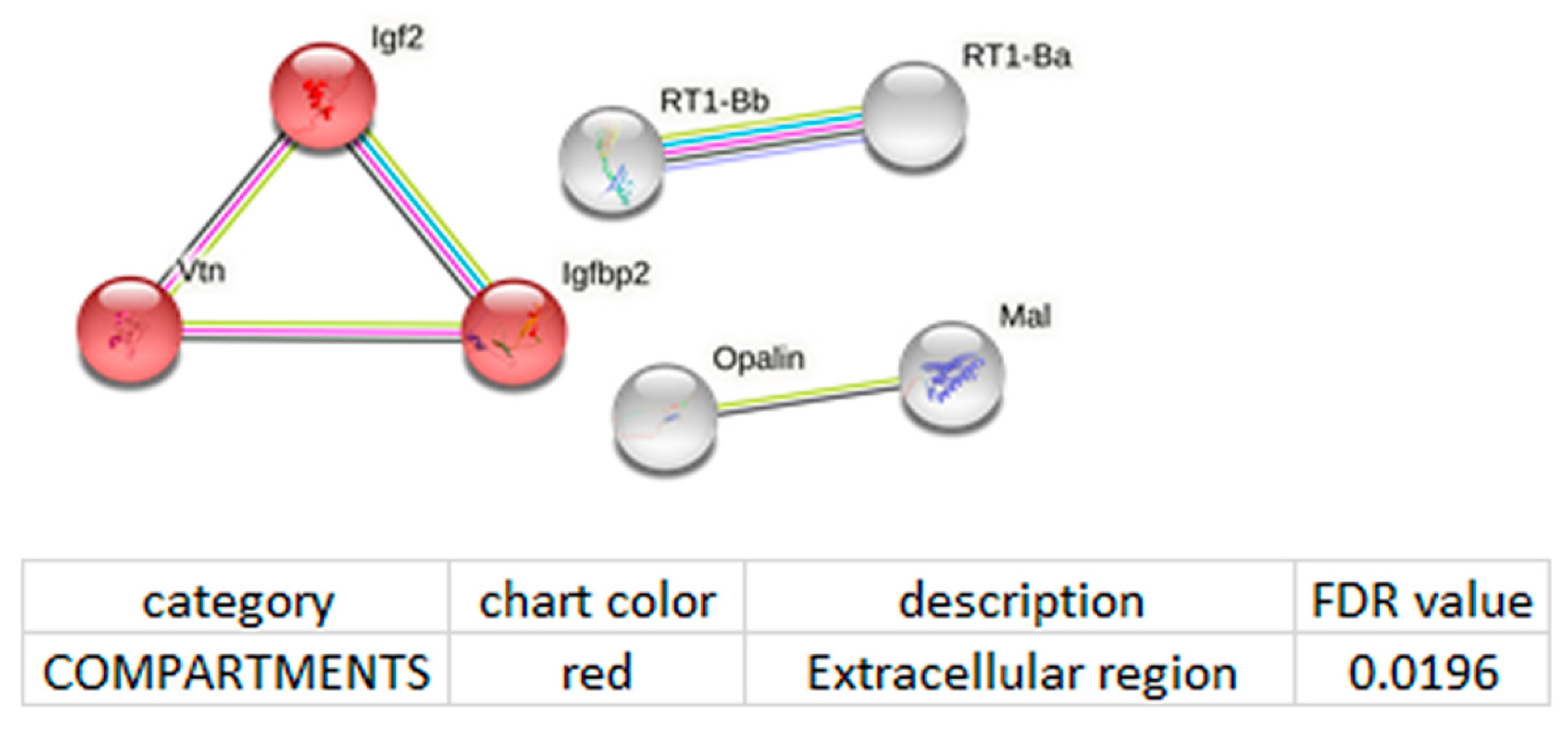 Genes 13 01598 g004 Genes 13 01598 g004