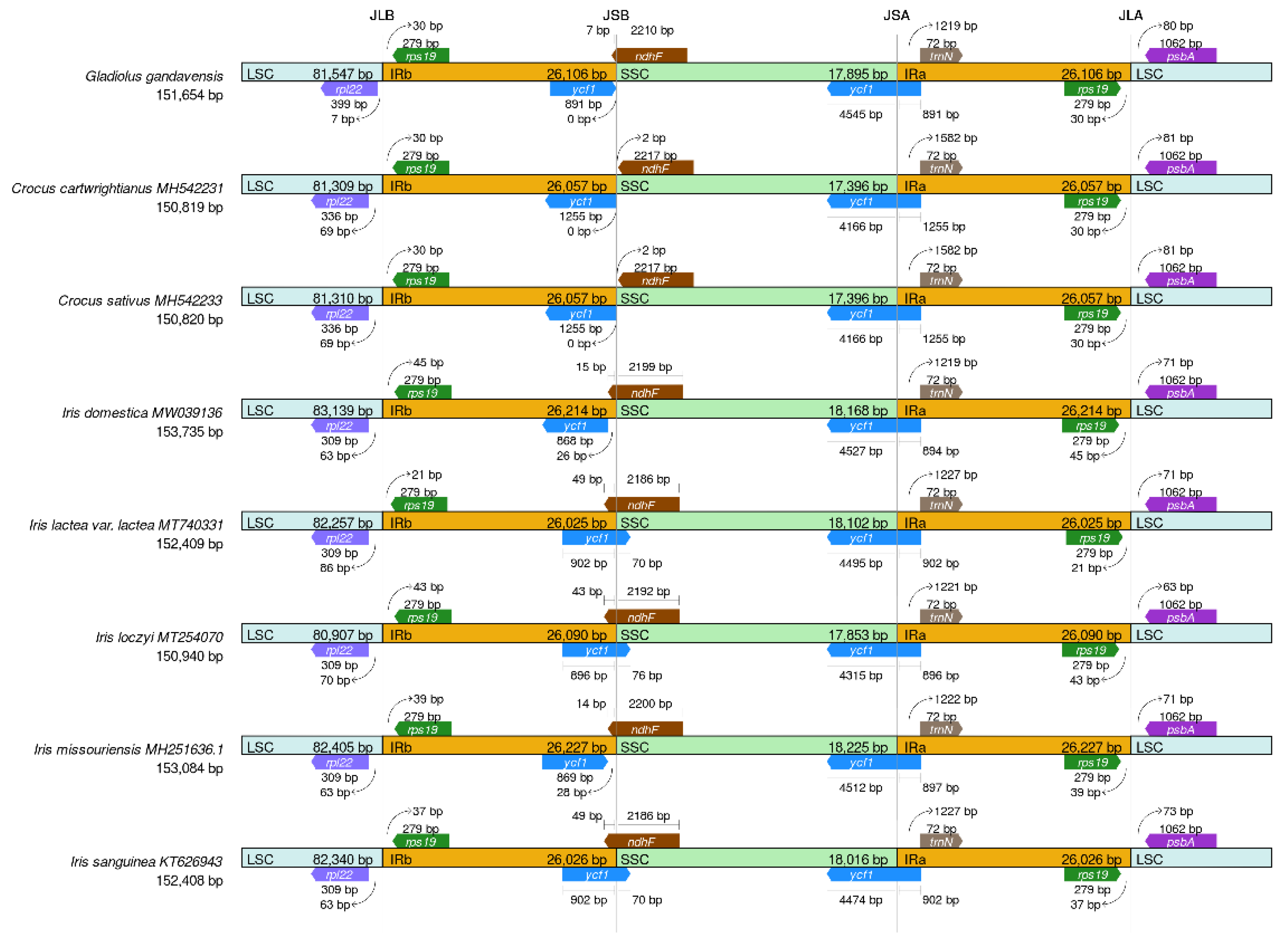 Genes 13 01599 g005 Genes 13 01599 g005