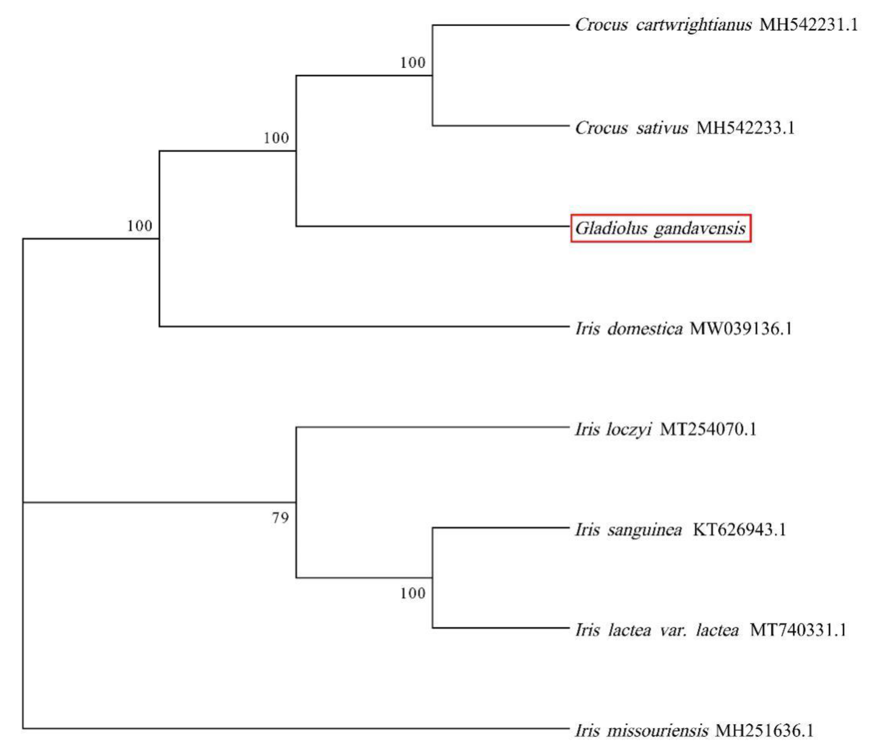Genes 13 01599 g006 Genes 13 01599 g006