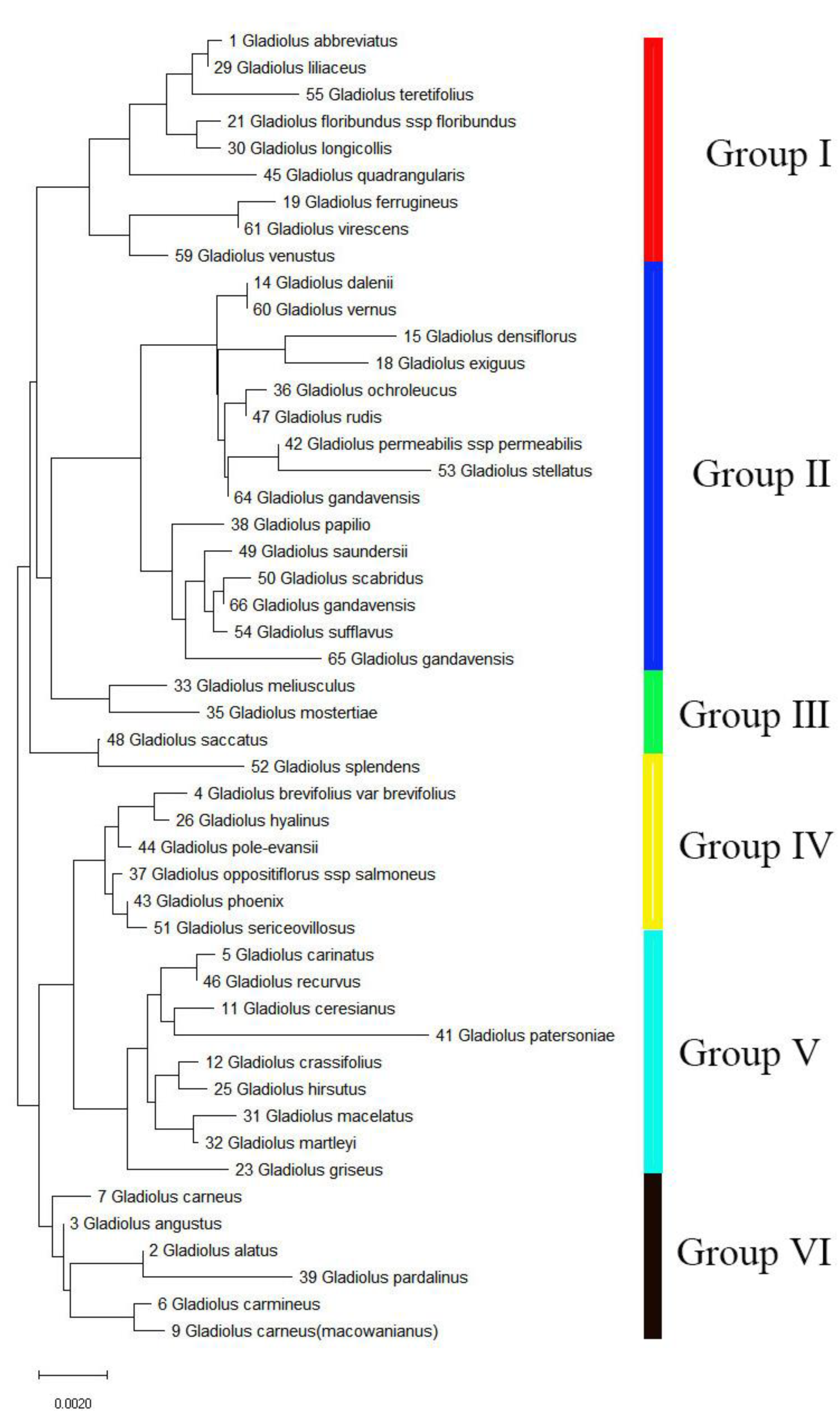 Genes 13 01599 g007 Genes 13 01599 g007