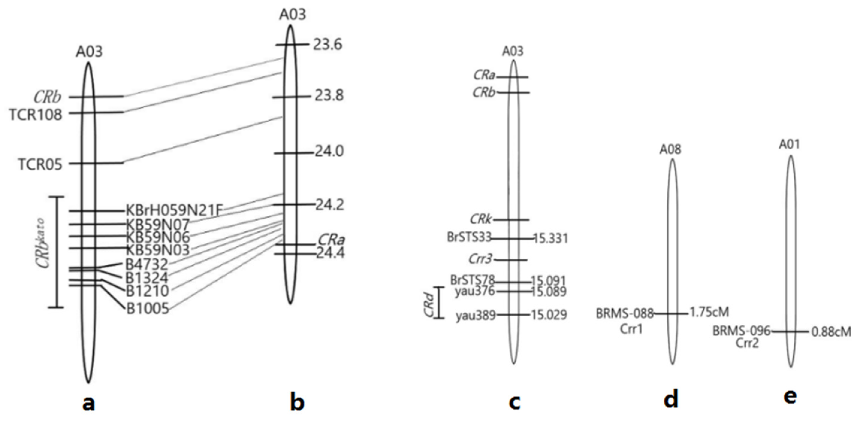 Genes 13 01600 g006 550
