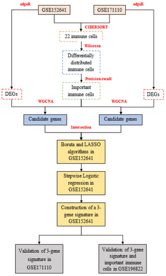 CTN Diagnosticos