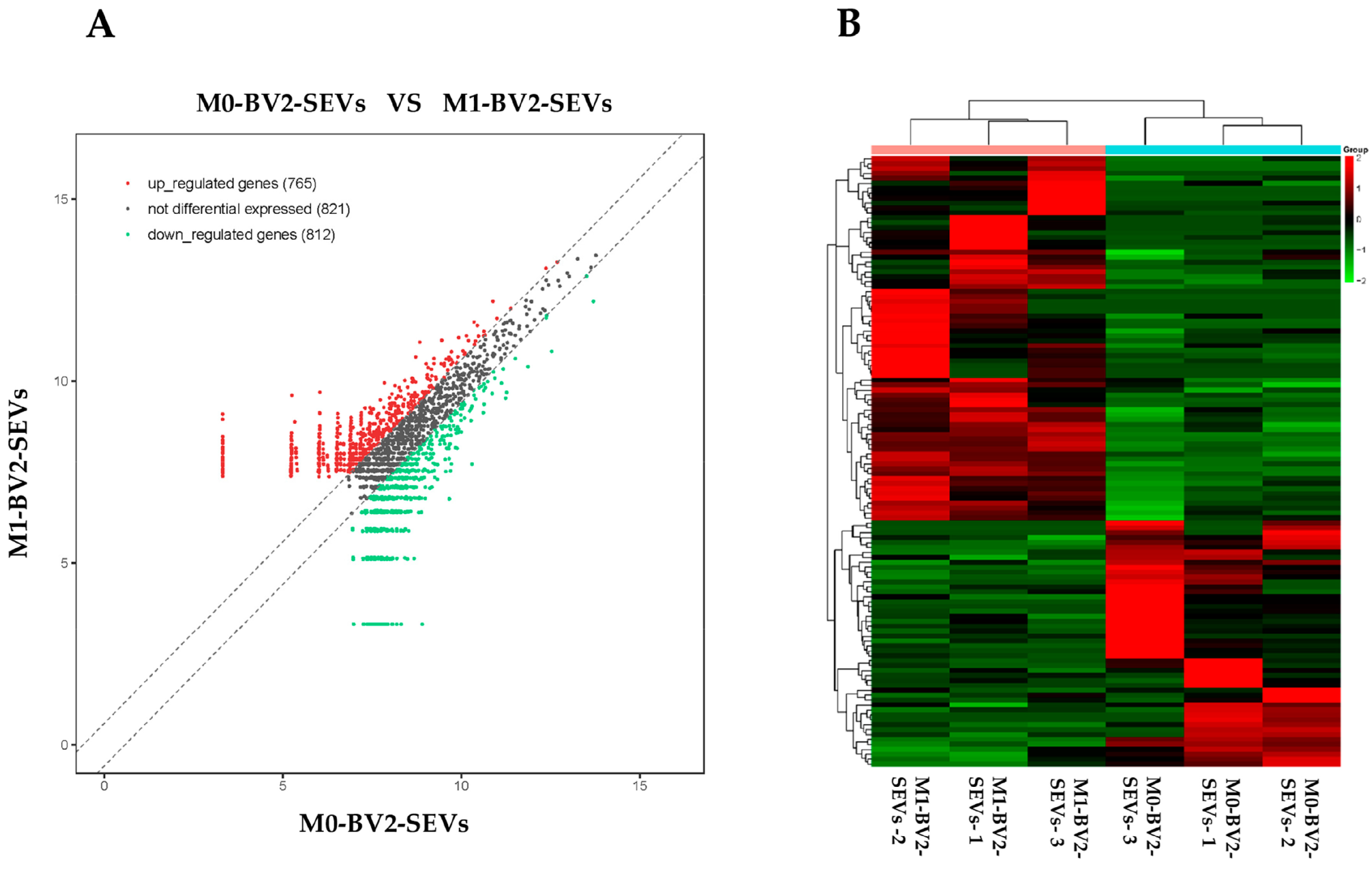 Genes 13 01603 g003 550