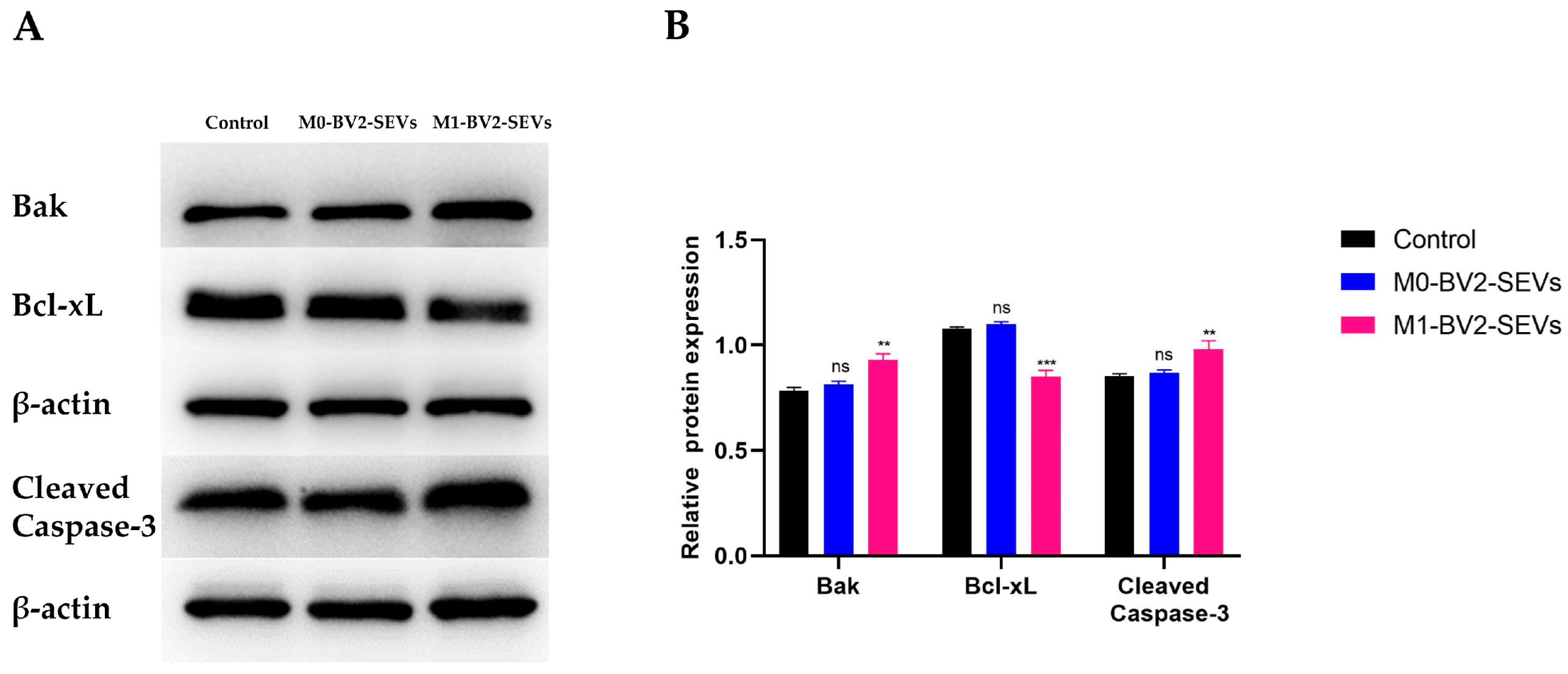 Genes 13 01603 g009 550