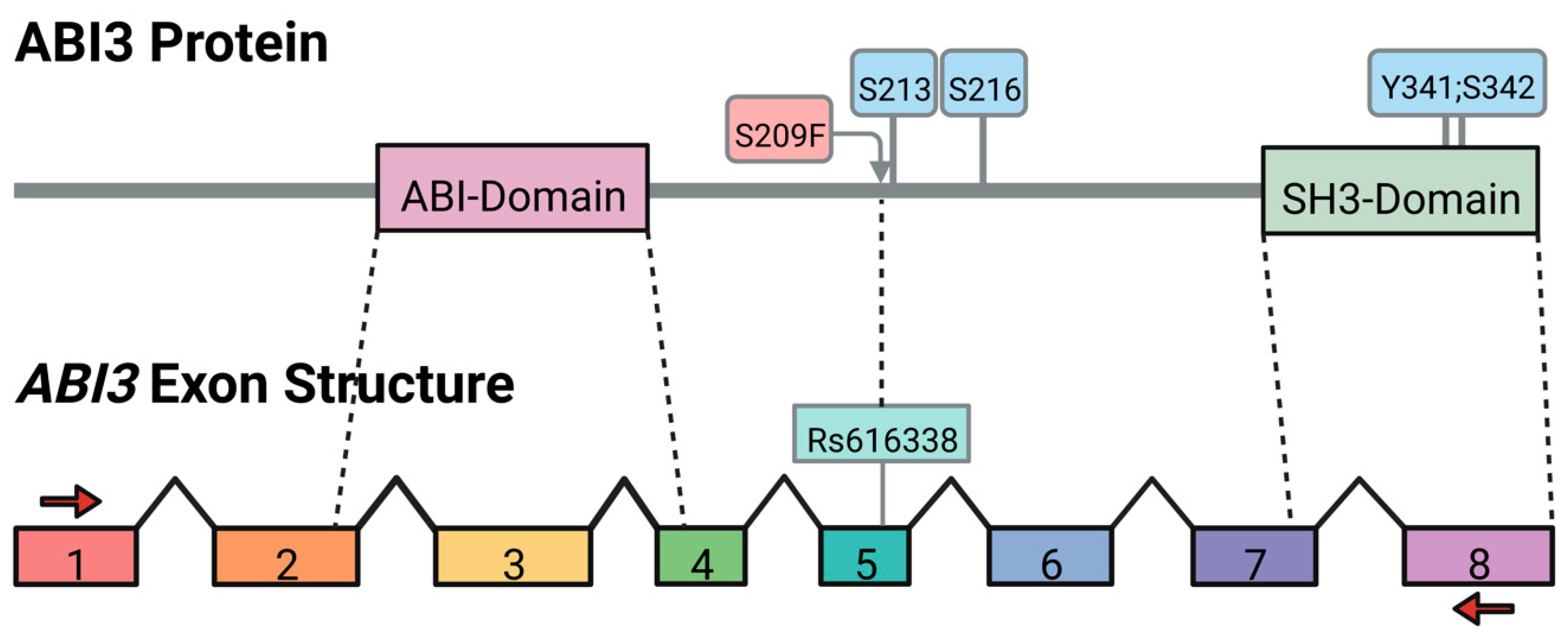 Genes 13 01607 g001 Genes 13 01607 g001