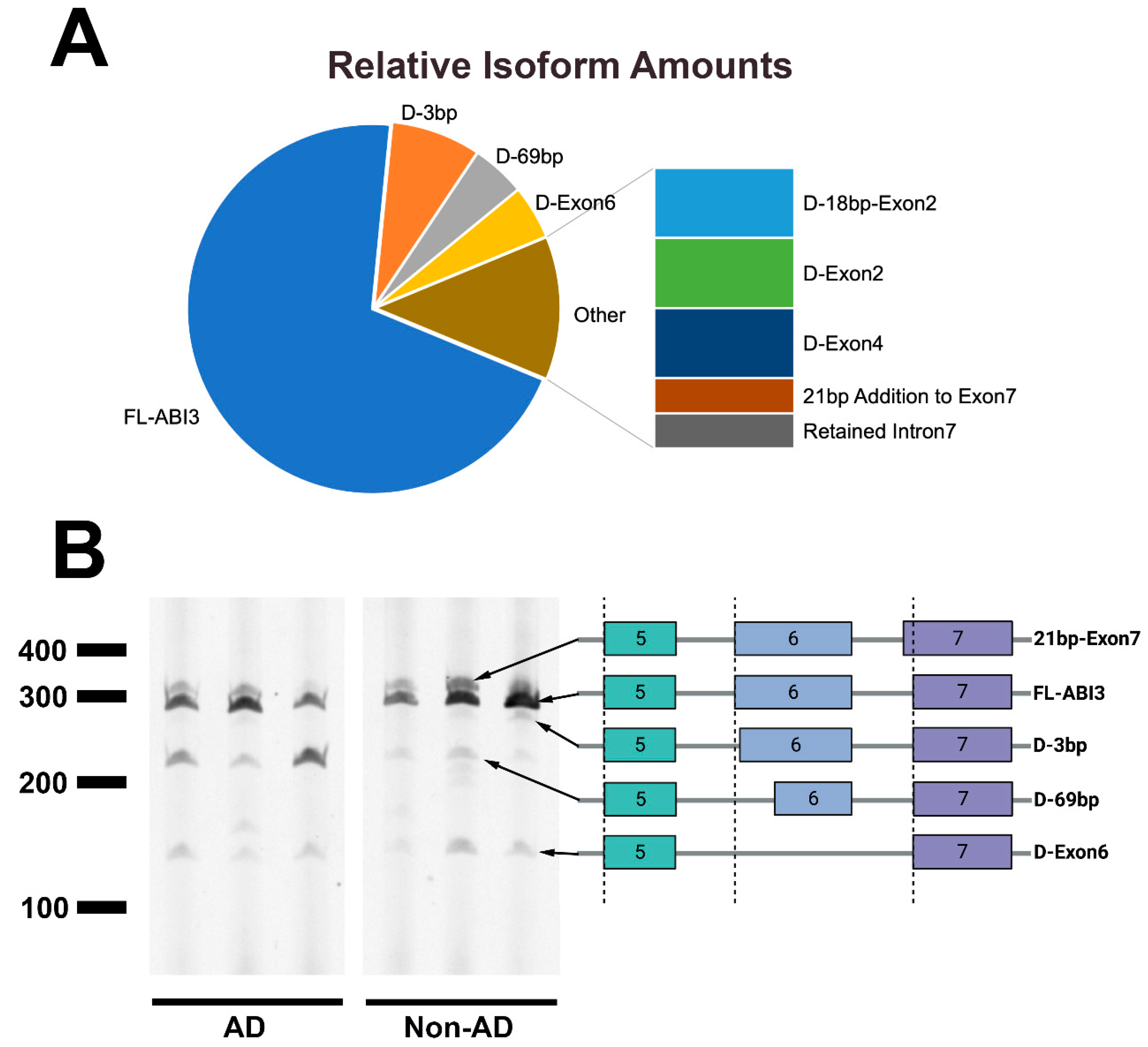 Genes 13 01607 g002 Genes 13 01607 g002