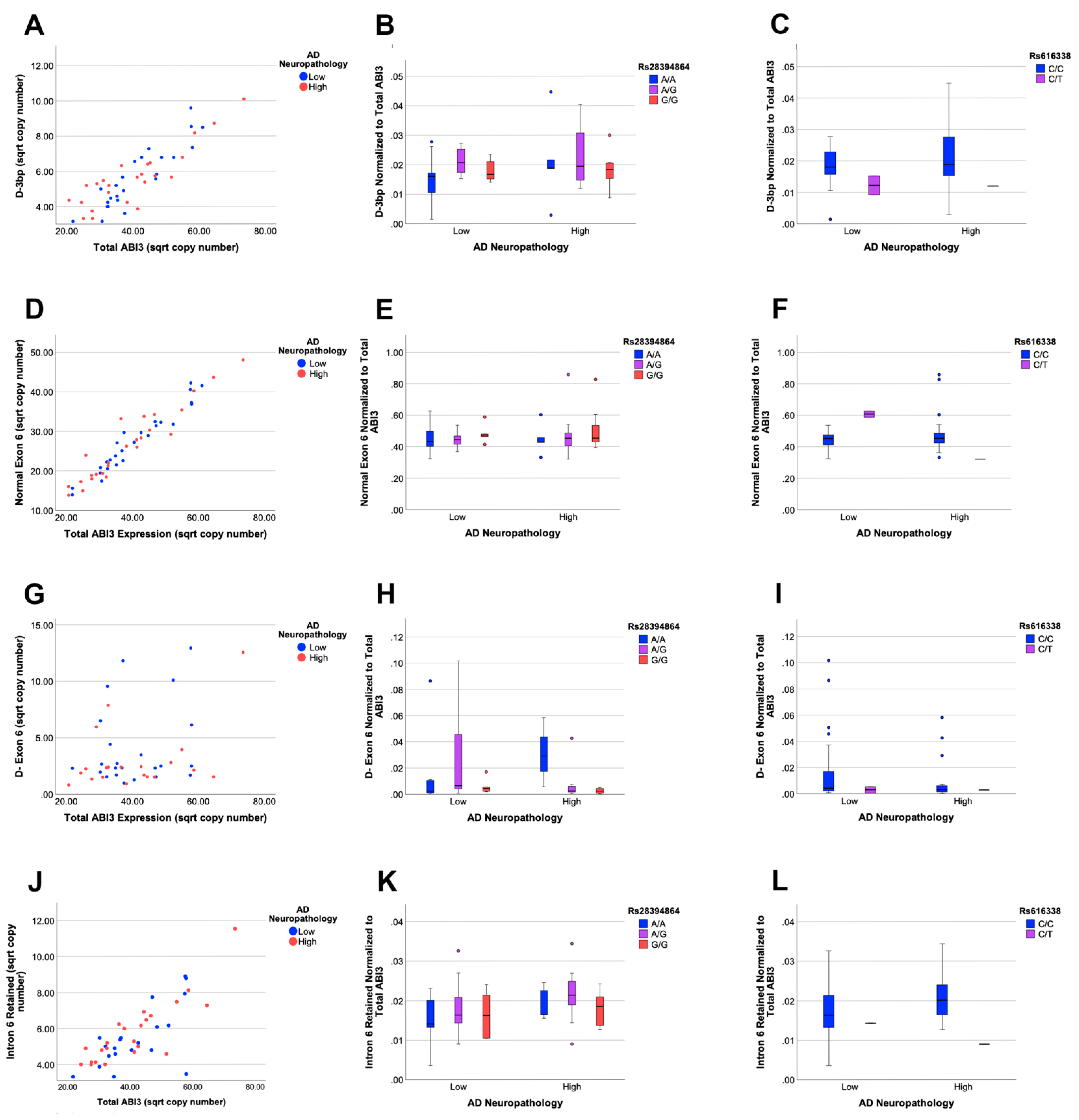 Genes 13 01607 g004 Genes 13 01607 g004