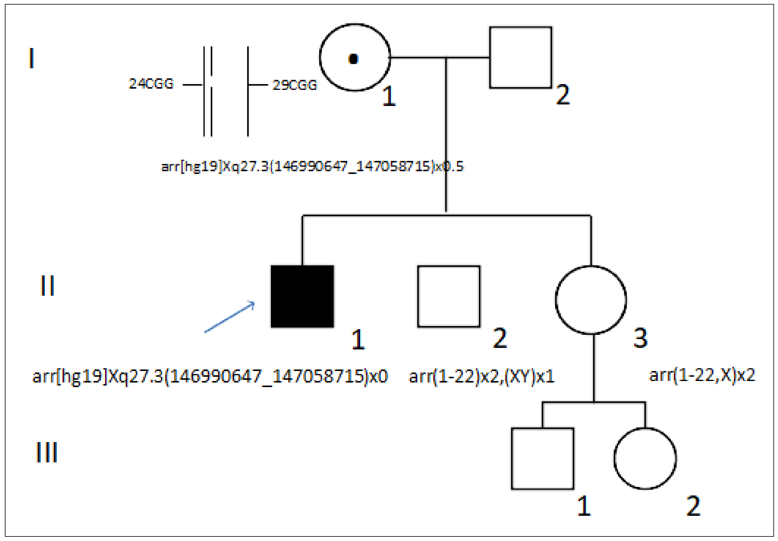 Genes 13 01609 g001 Genes 13 01609 g001