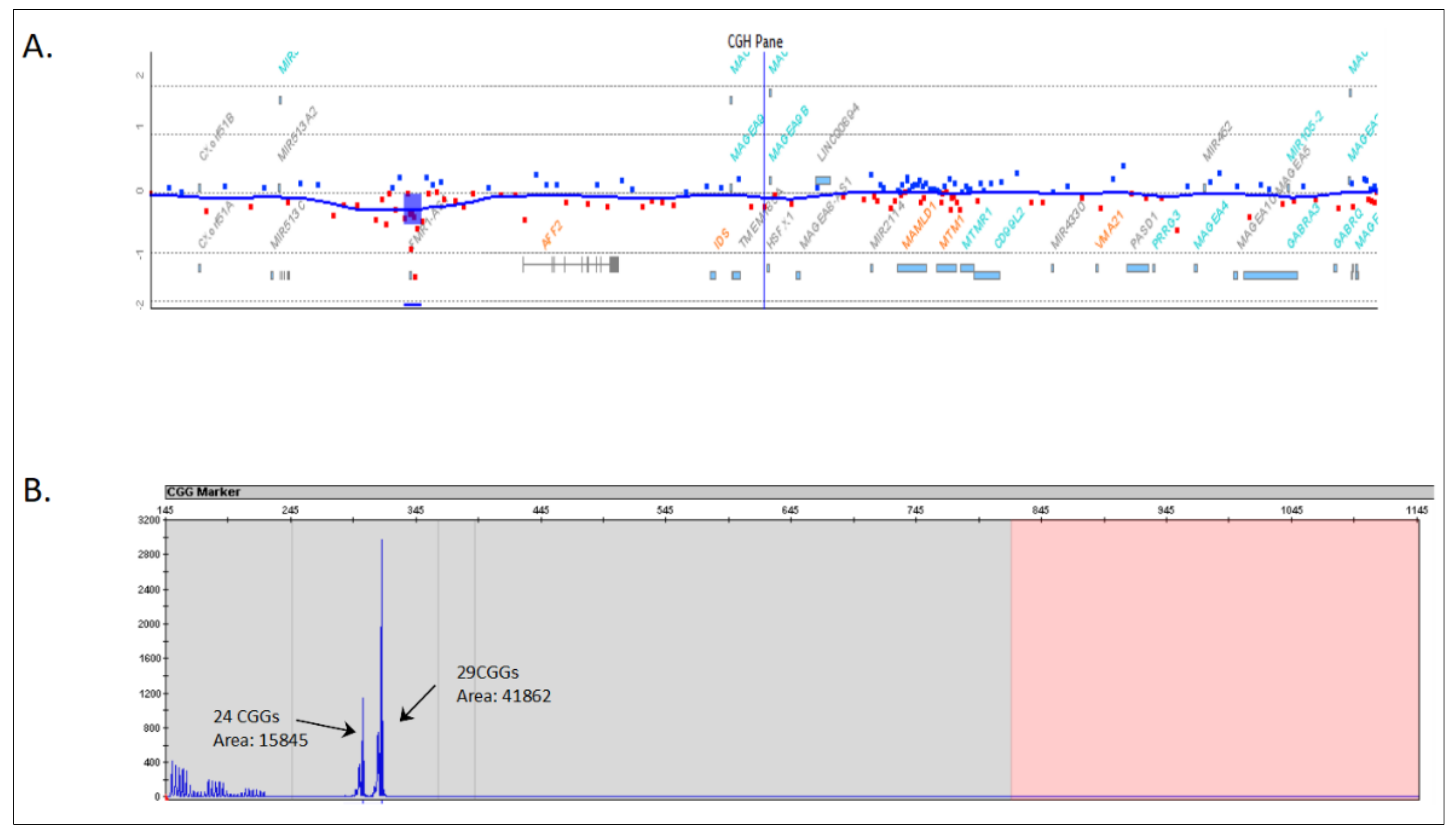 Genes 13 01609 g003 Genes 13 01609 g003