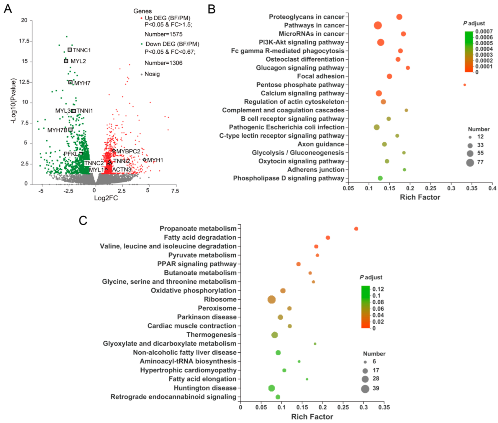 Genes 13 01610 g002 550