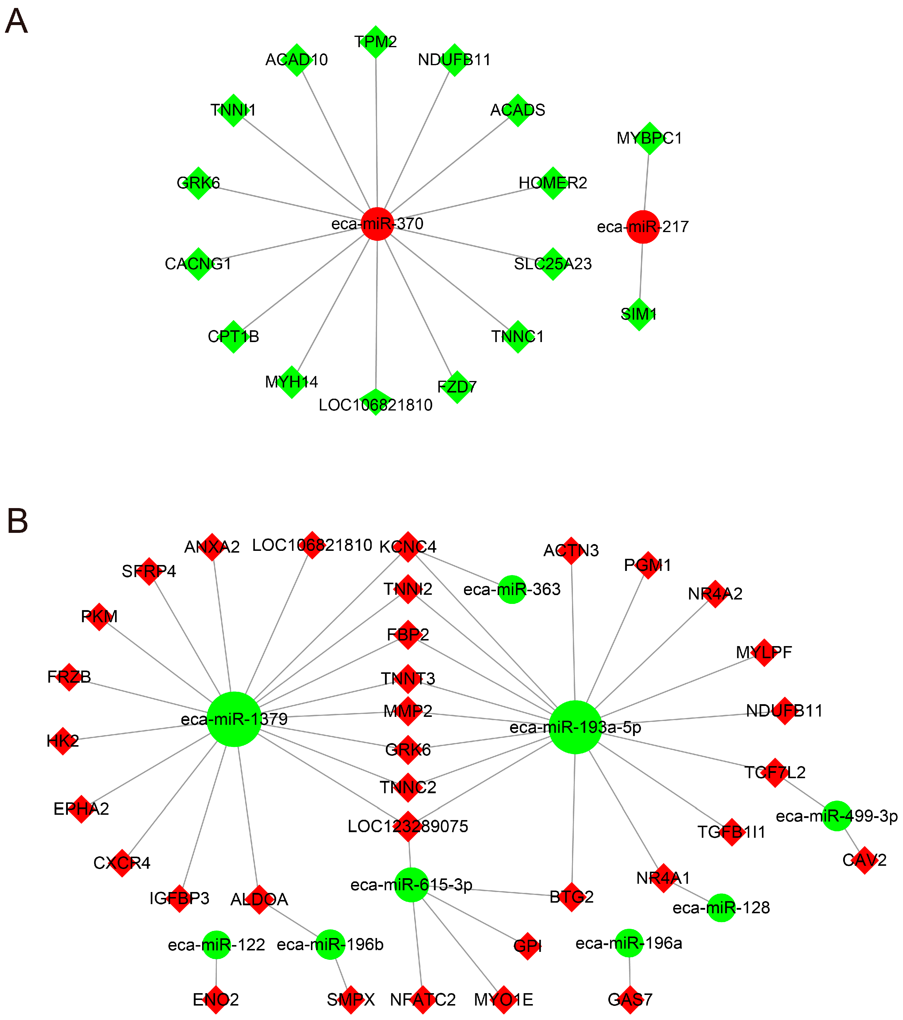 Genes 13 01610 g003 550